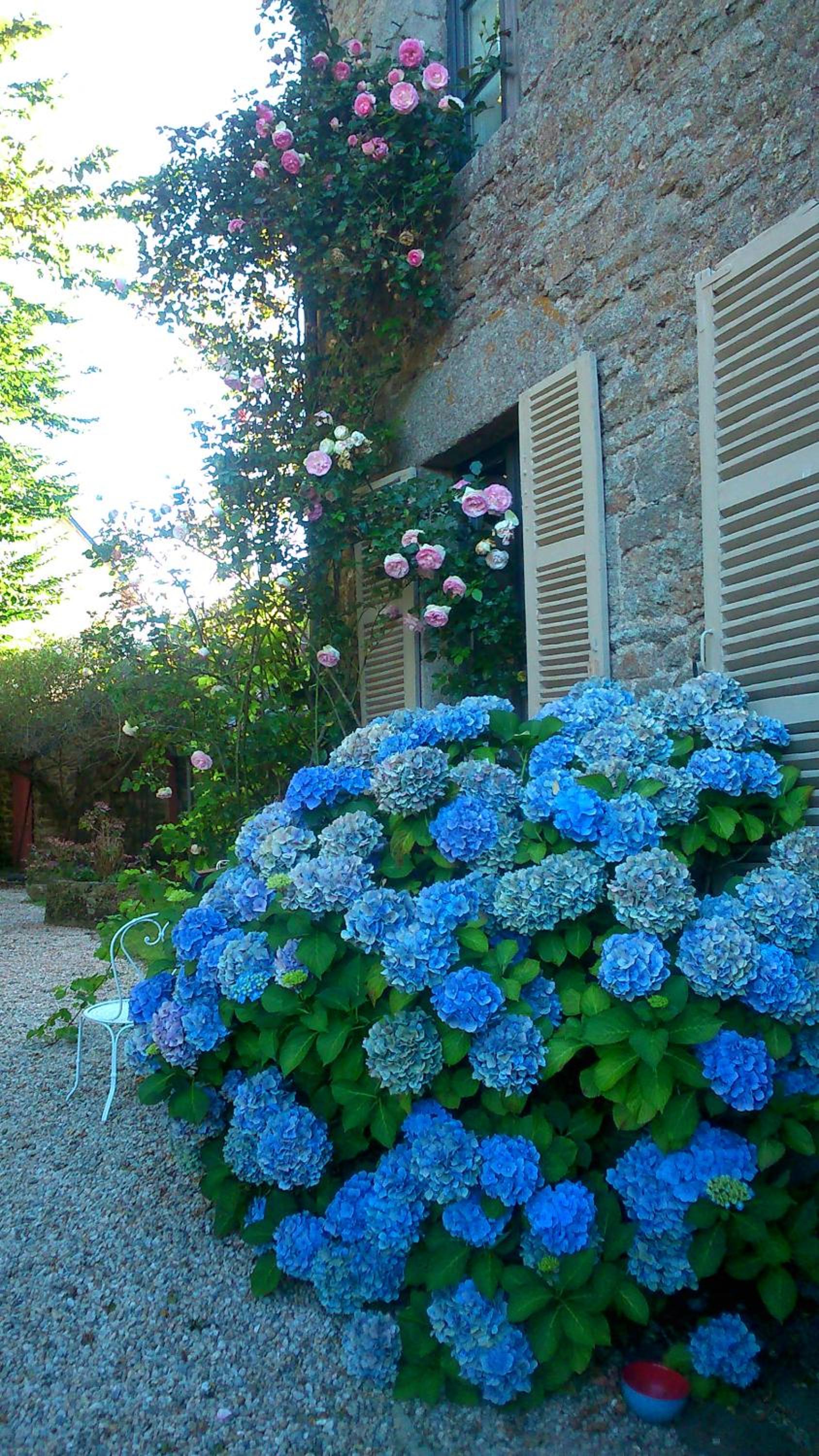 La Demeure du Collectionneur view 2