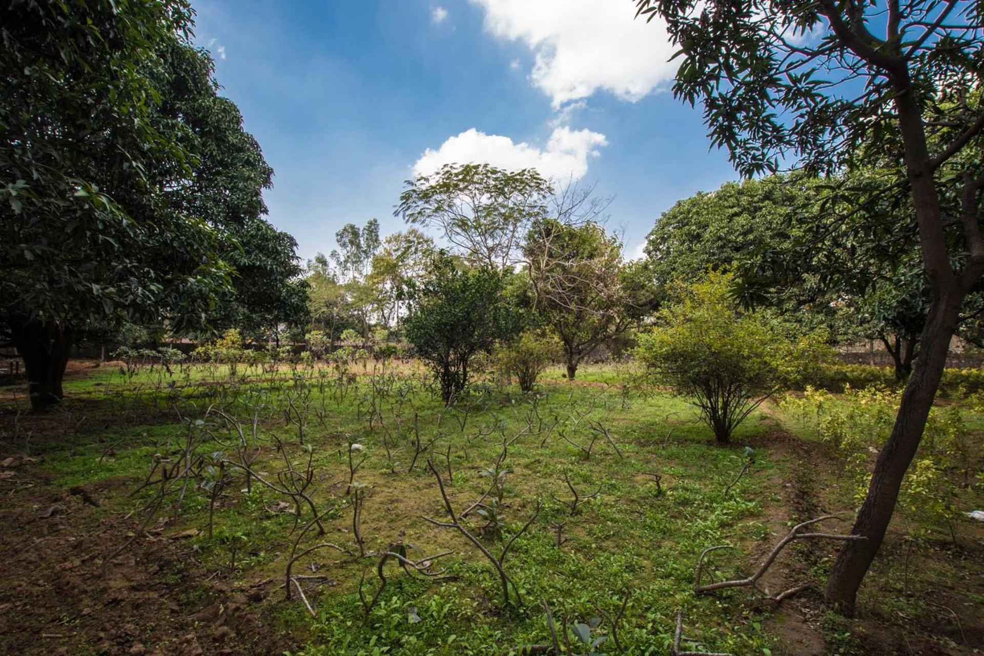StayVista at Solitude in the Woods- Cozy 2BR Villa in Delhi with Lawn Bonfire view 2