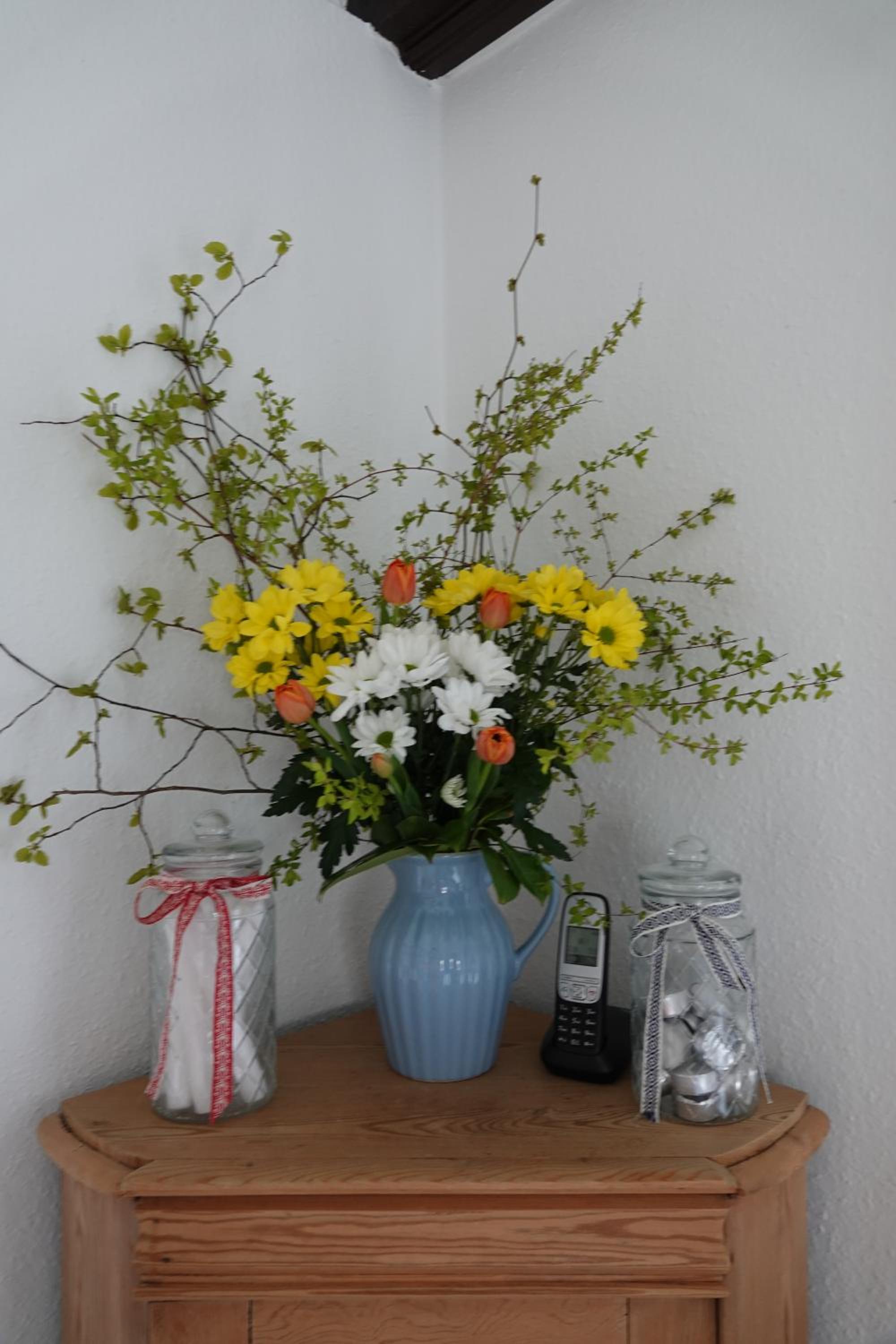 Ferienwohnungen Knospe