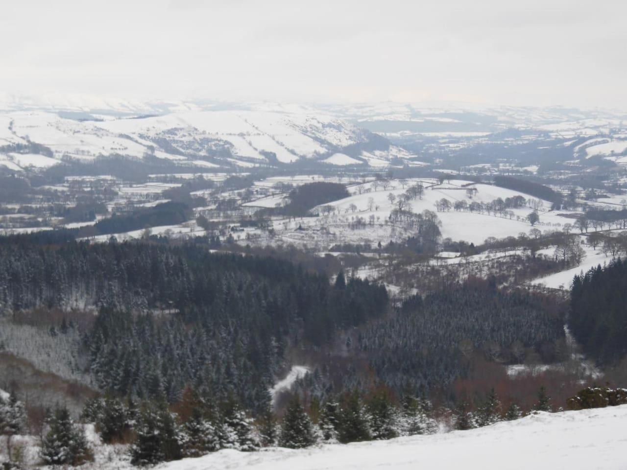Rhandirmwyn - Cottage - Sleeps 4 - Pet Friendly view 3