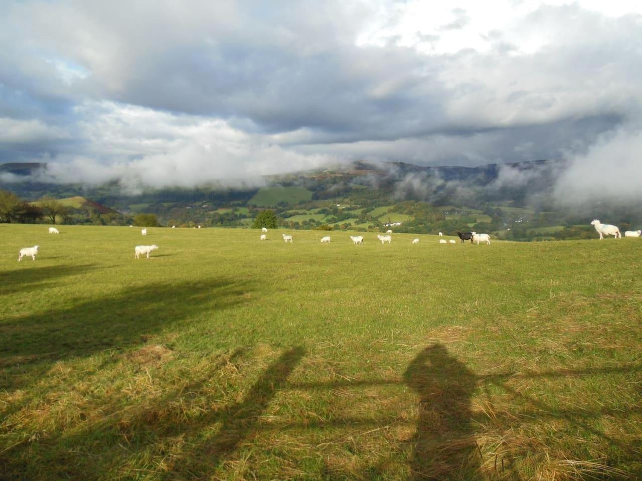 Rhandirmwyn - Cottage - Sleeps 4 - Pet Friendly view 2