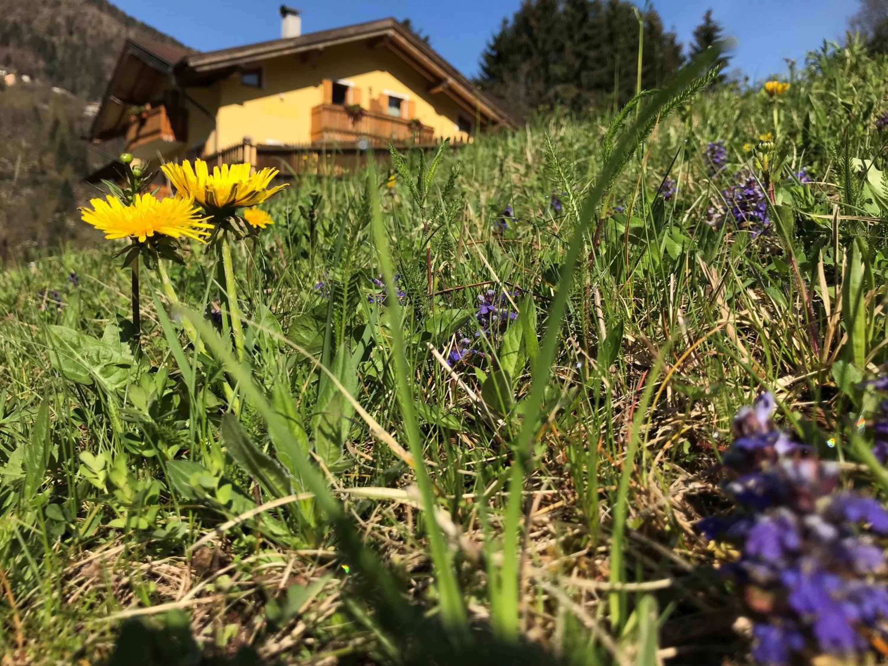 Eco-Baita Natura Spensierata, Billede 52