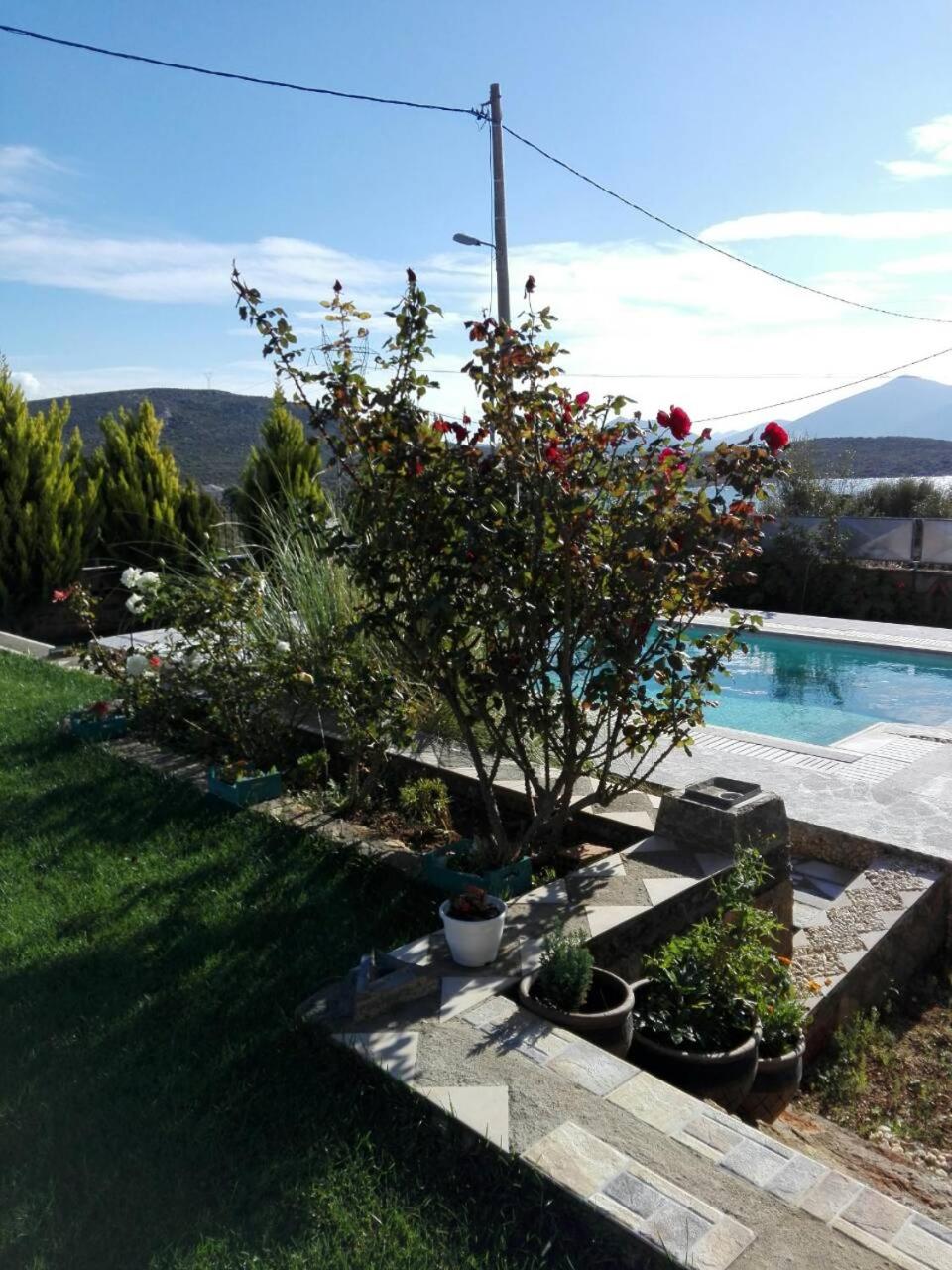 Photo 36