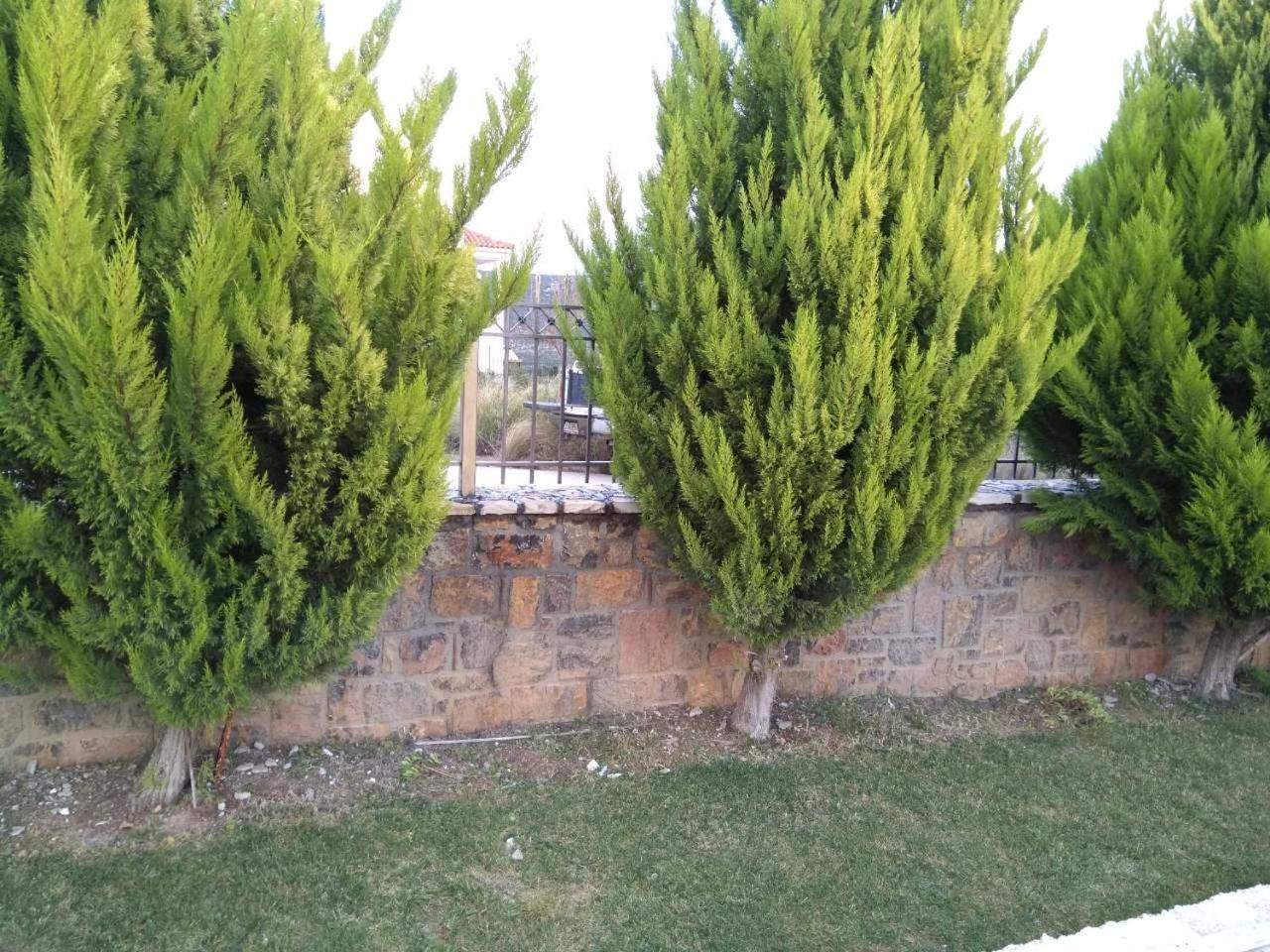 Photo 57