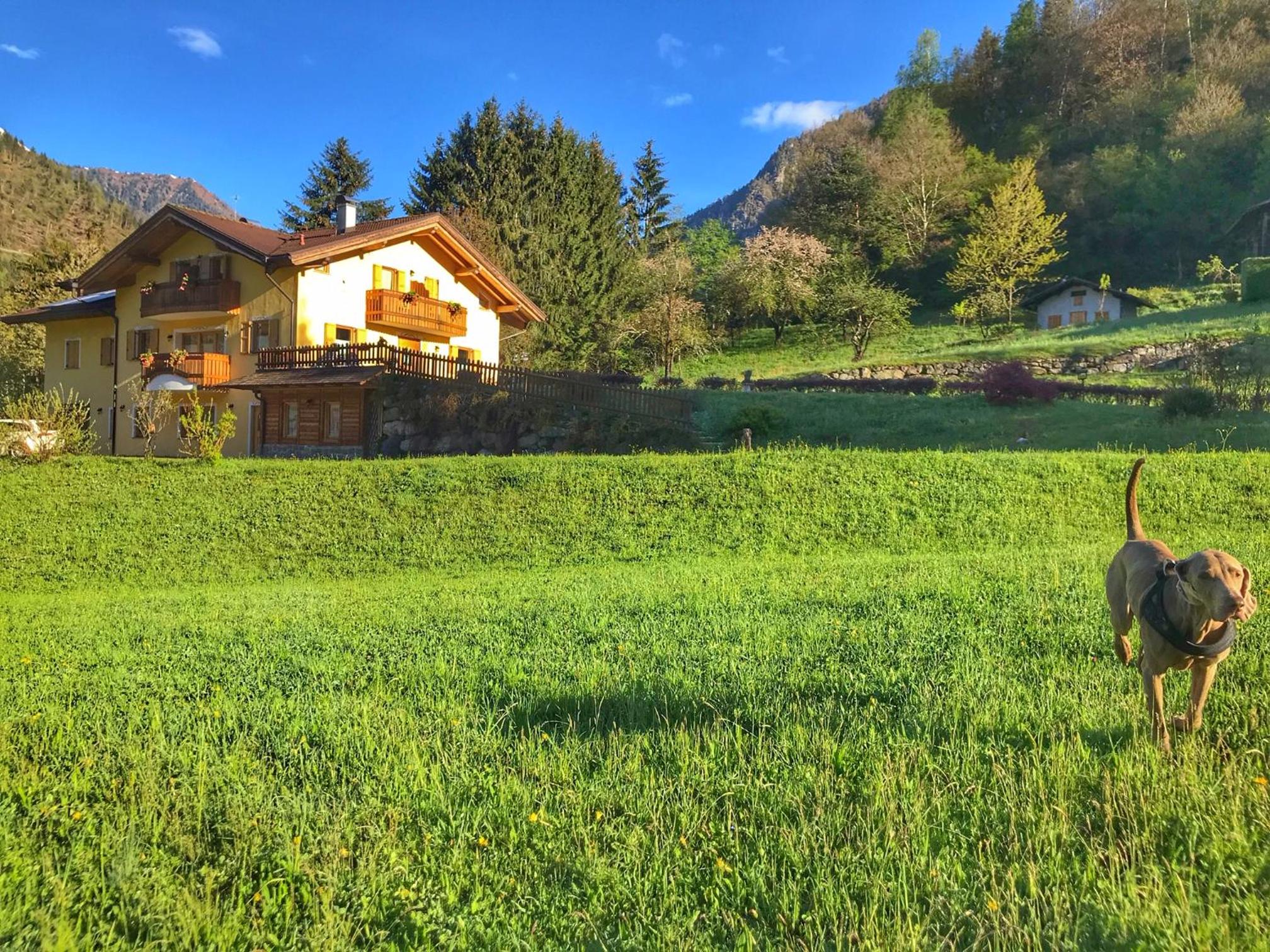 Eco-Baita Natura Spensierata, Billede 78