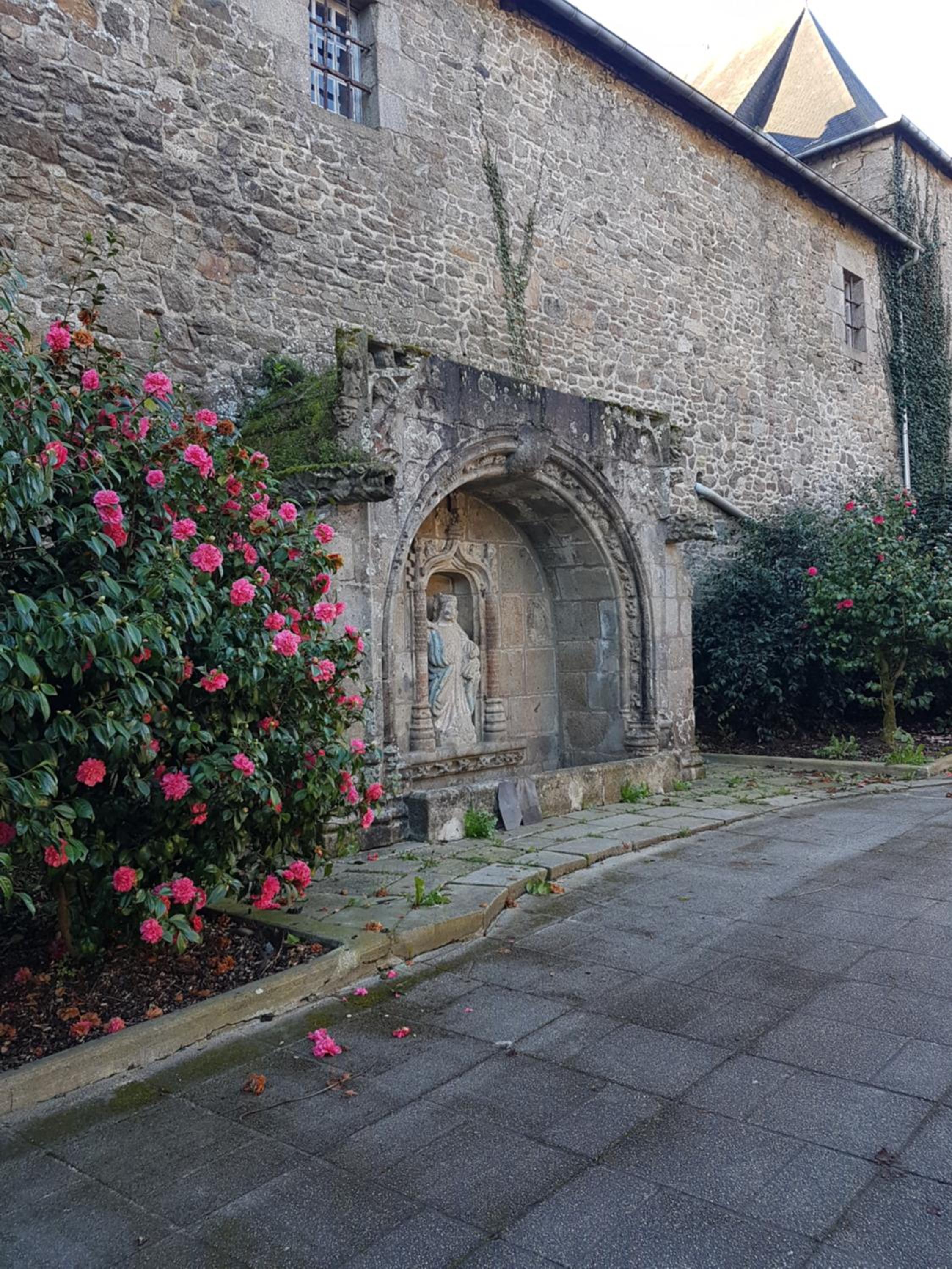 Photo 13