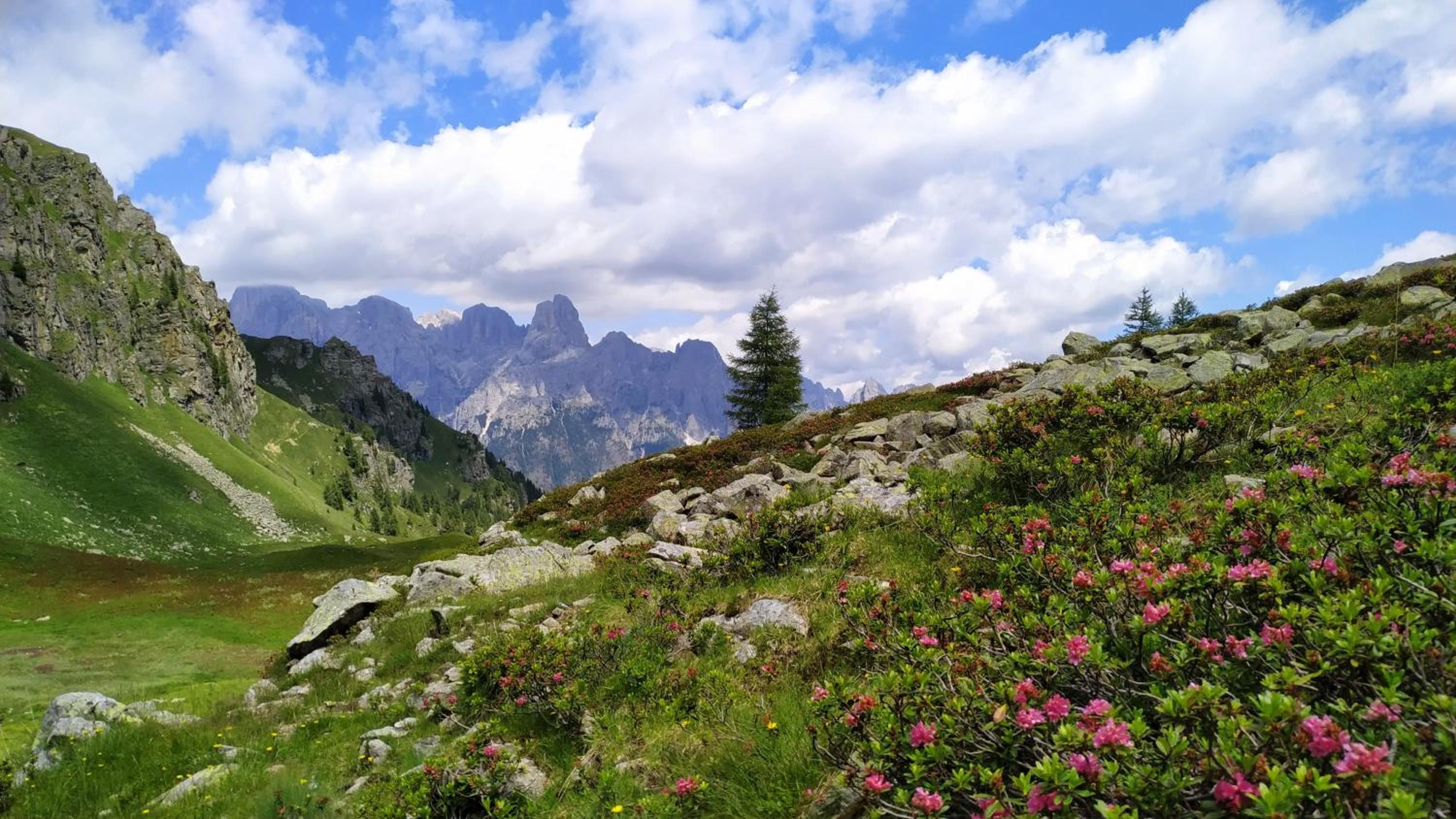 Eco-Baita Natura Spensierata, Billede 20