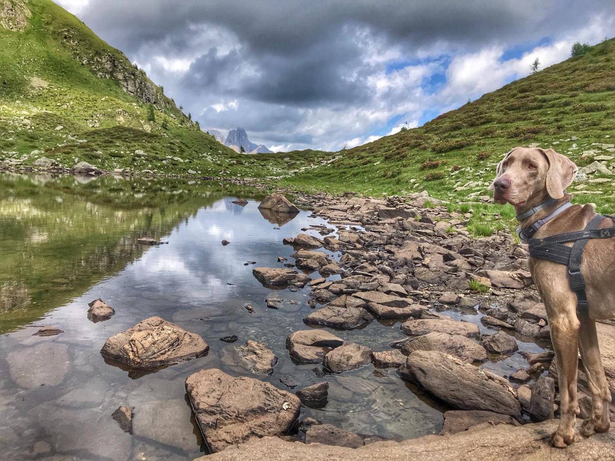 Eco-Baita Natura Spensierata, Billede 51