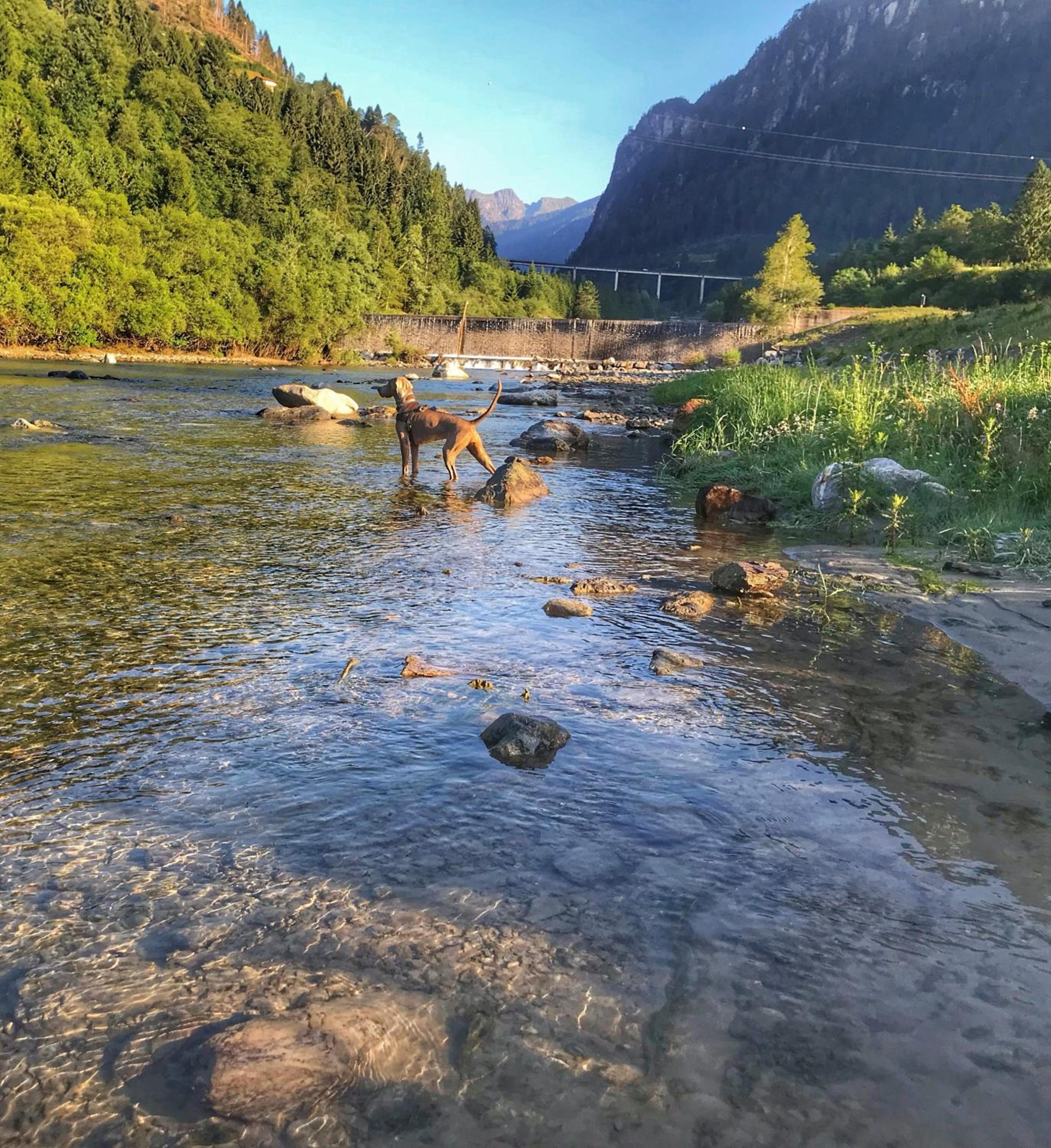 Eco-Baita Natura Spensierata, Billede 42