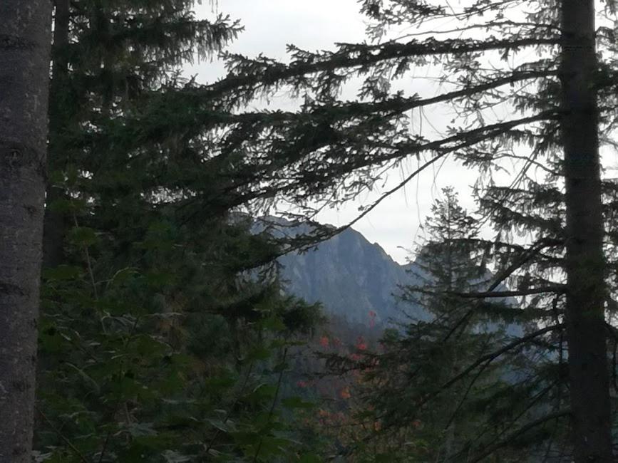 Photo 33