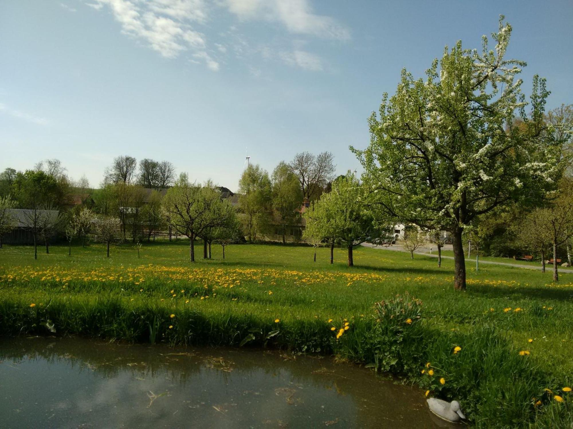 Austragshaus Almbranz - Property Image 15