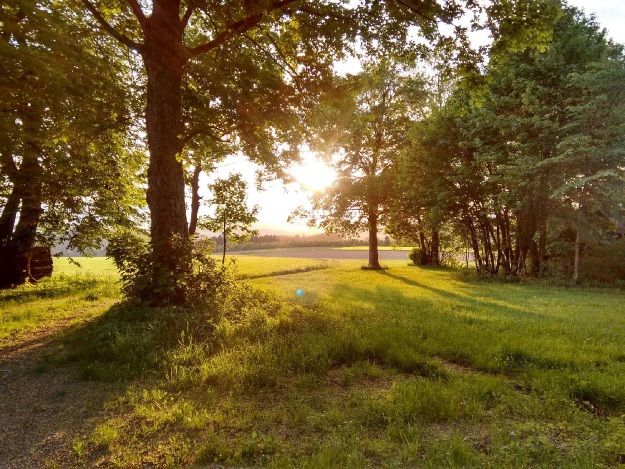 Austragshaus Almbranz - Property Image 17