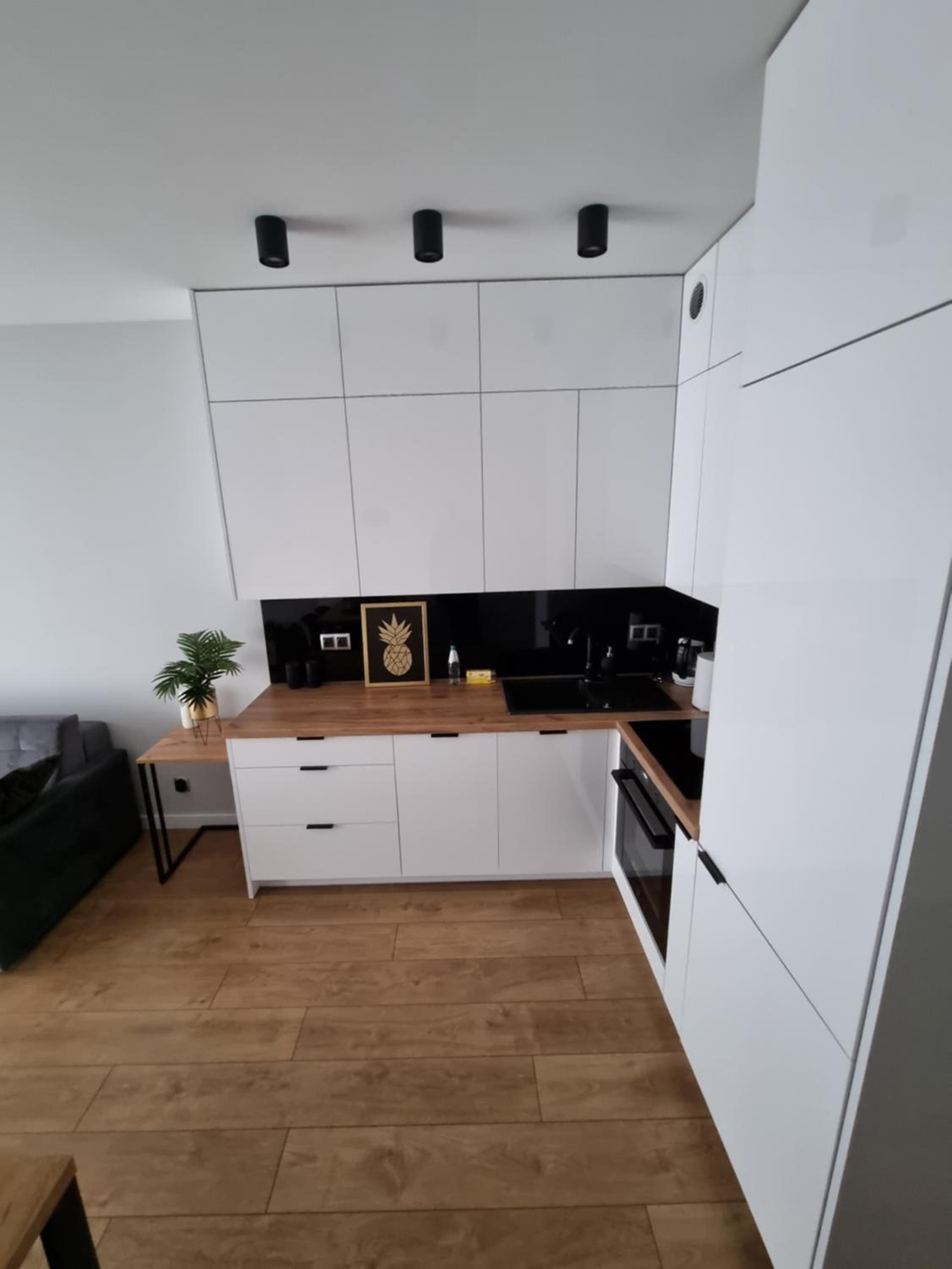 Apartament Ventus Business and Living 46 view 3