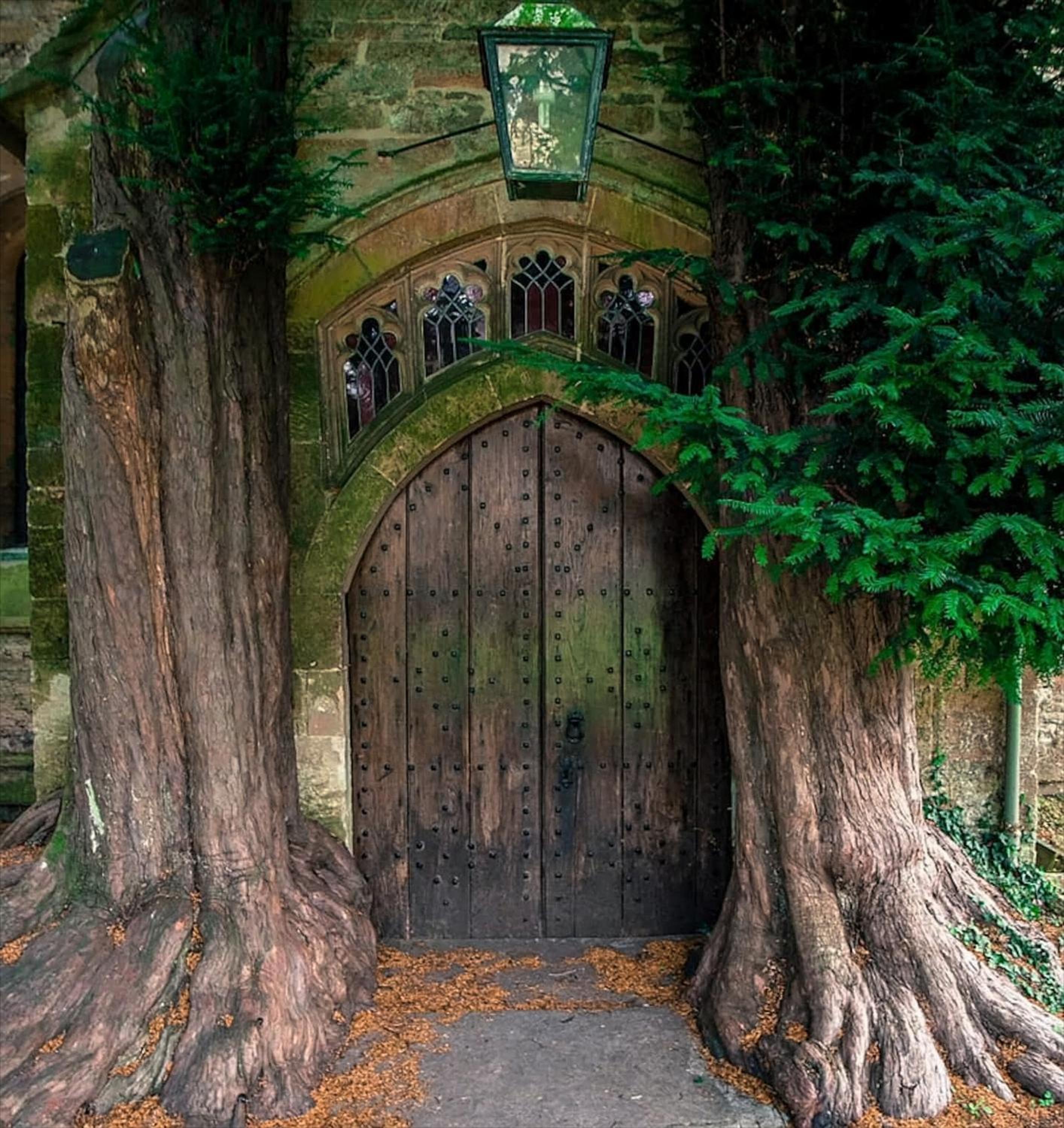 Photo 24
