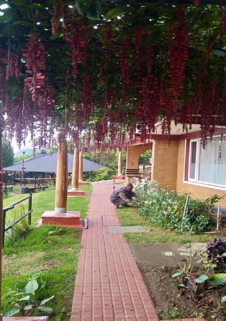 Photo 38