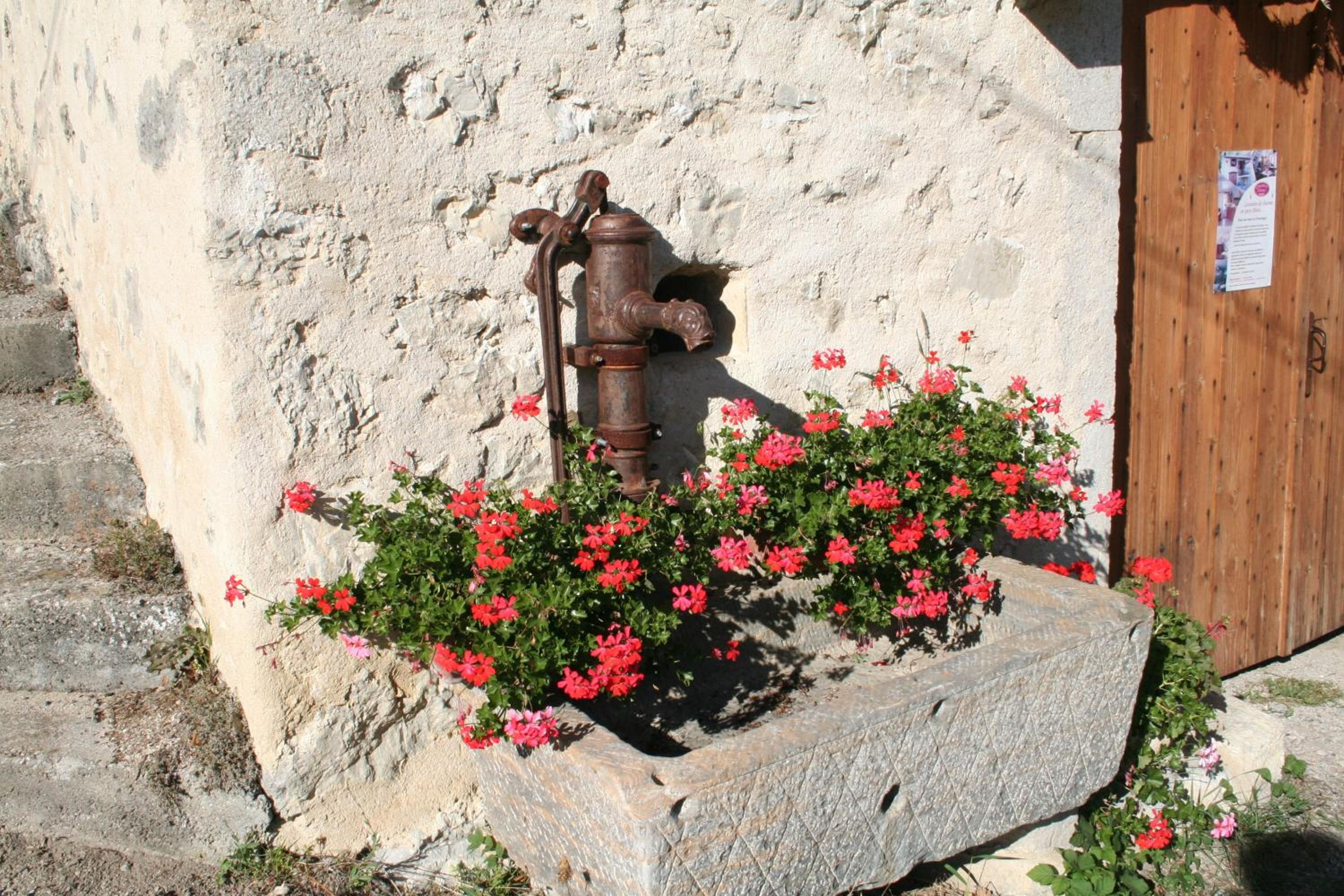 Photo 28
