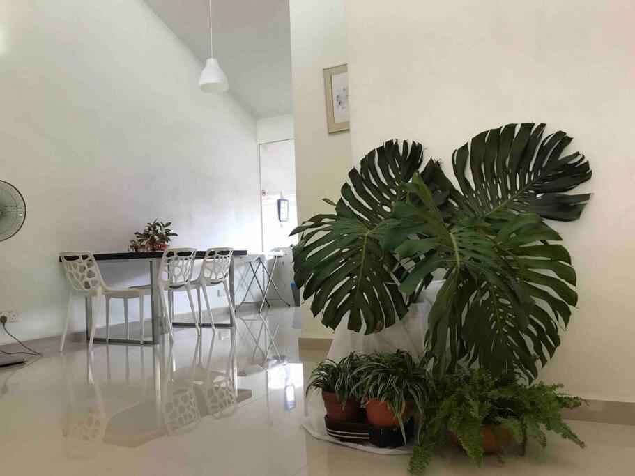Terrace house near Stulang Laut CIQ Midvalley KSL for 7Pax
