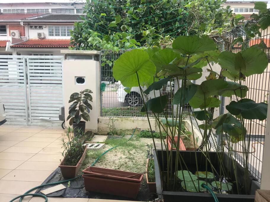 Terrace house near Stulang Laut CIQ Midvalley KSL for 7Pax