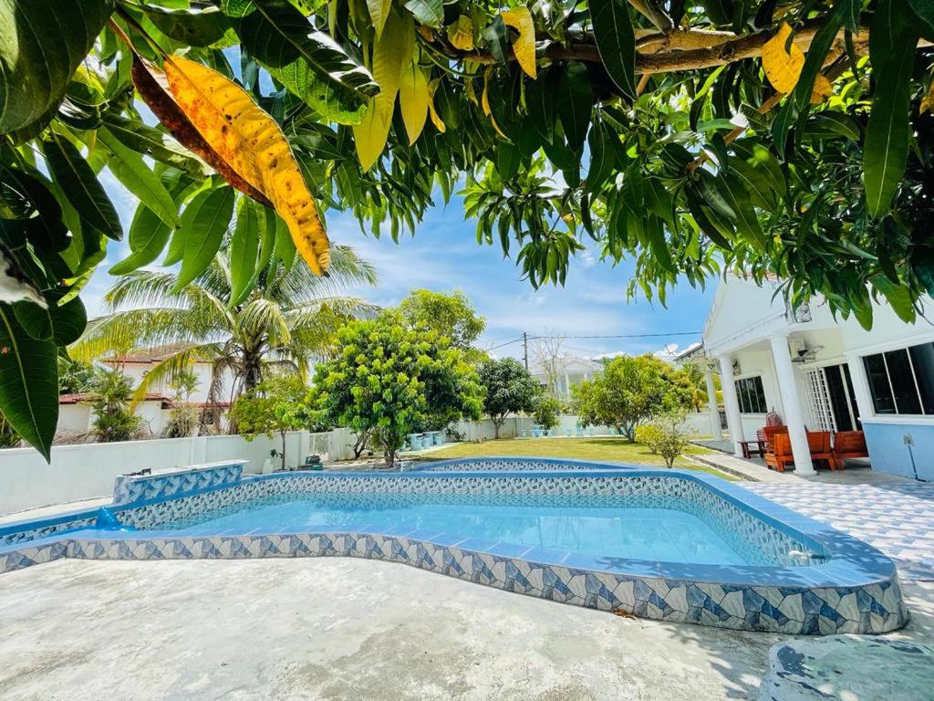 Photo 54