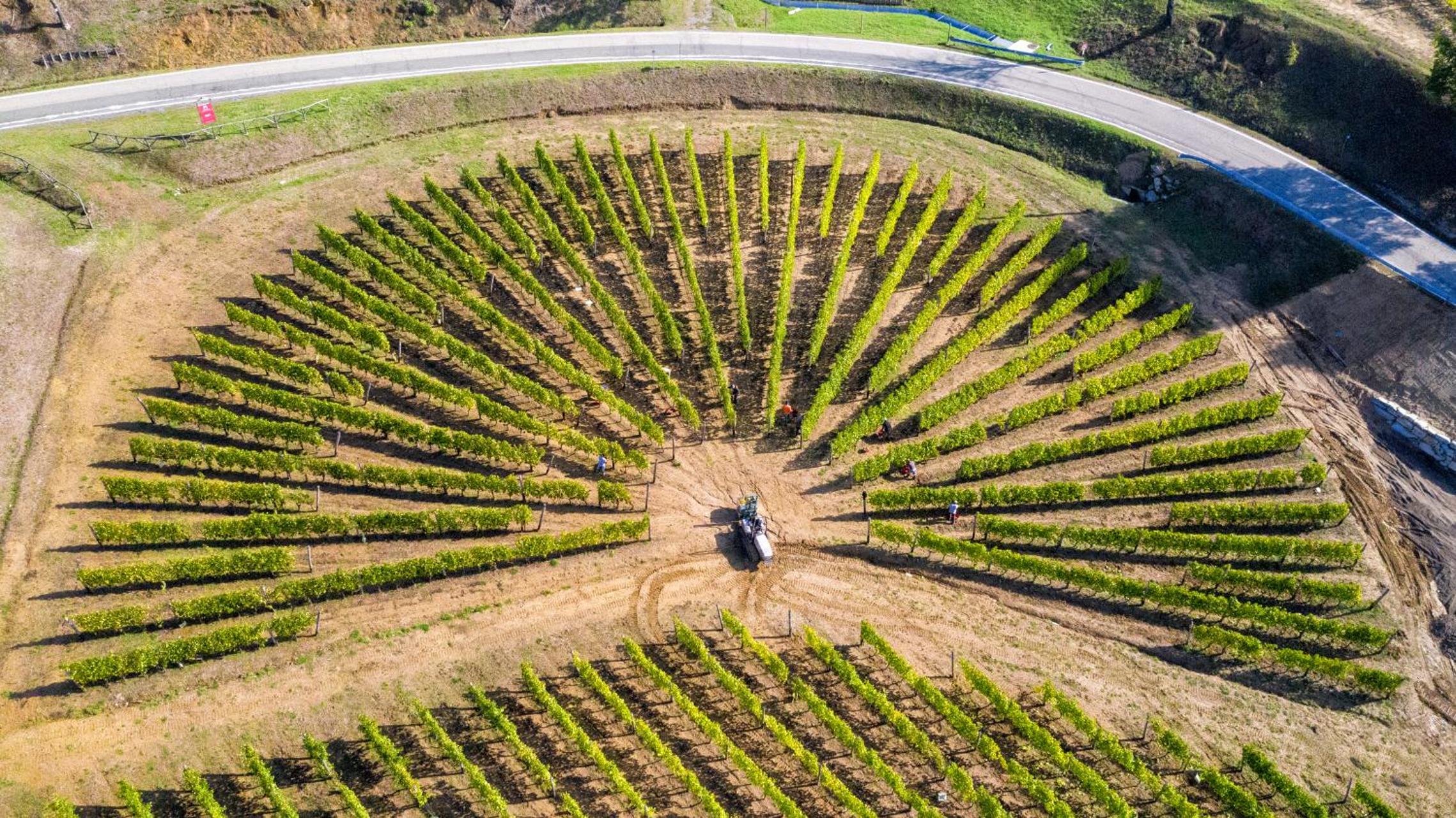 Cascina Binè view 3