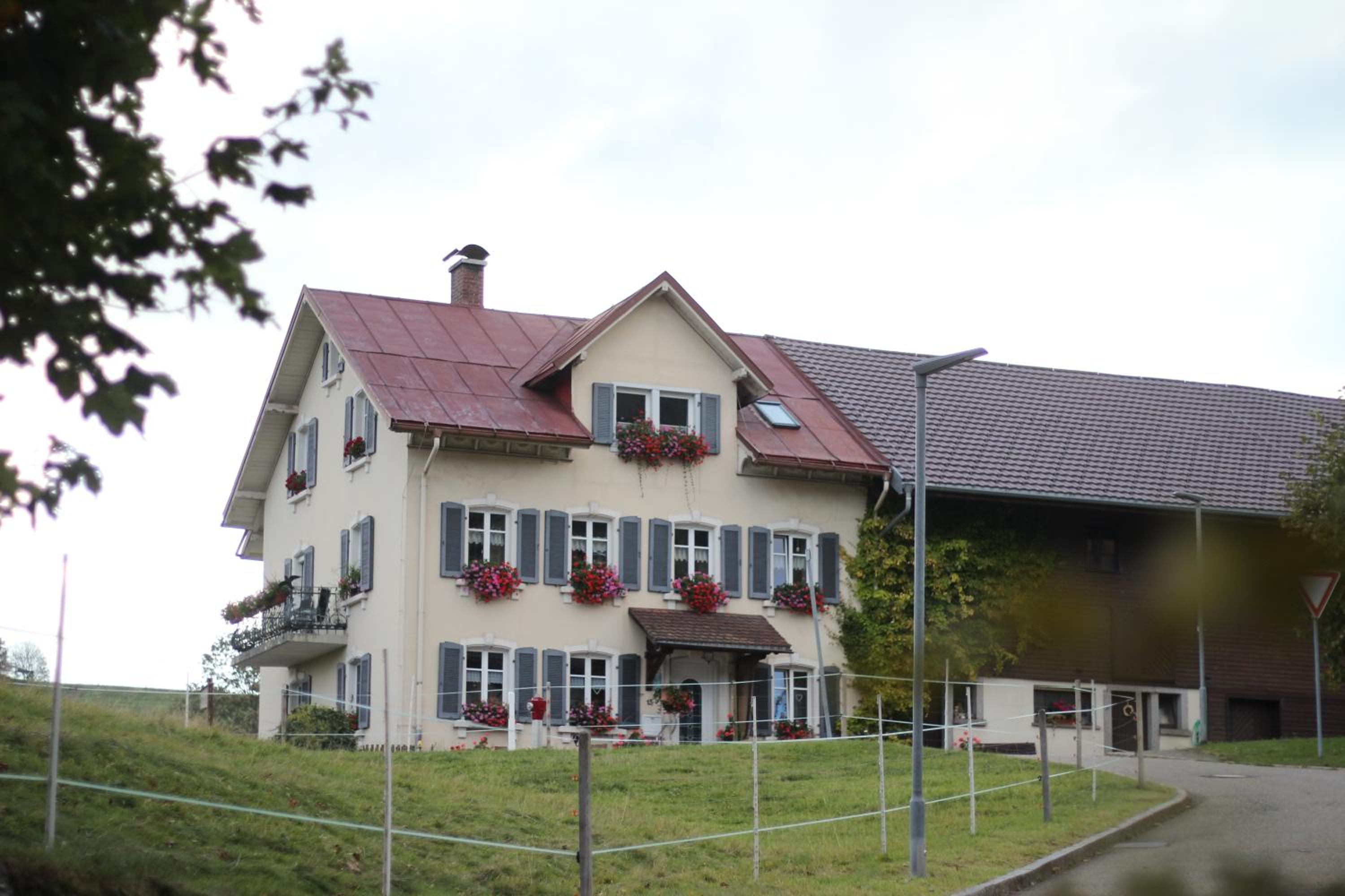 Photo 25