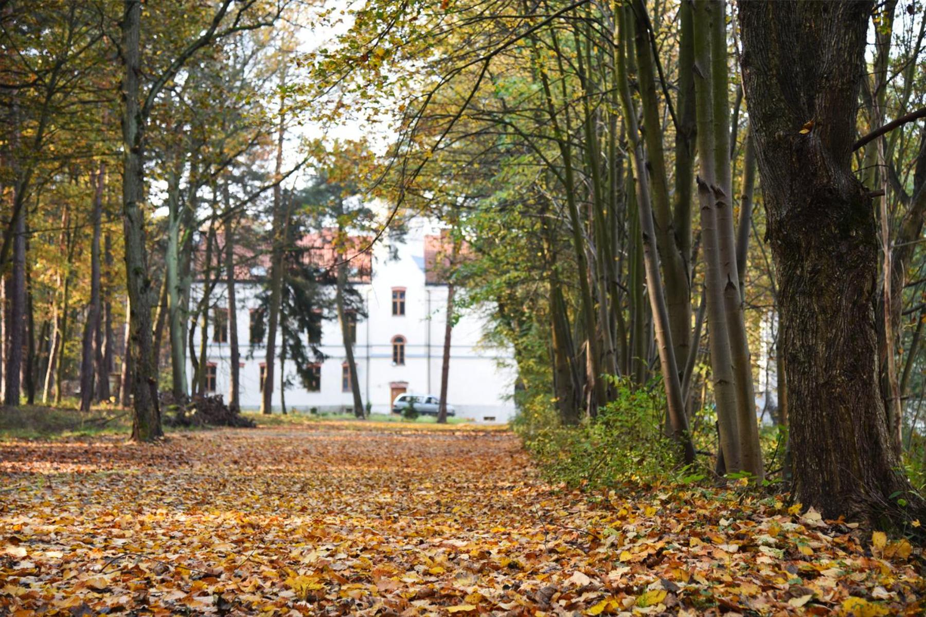 Dobry Zakątek Centrum Formacyjne Archidiecezji Warszawskiej, photo 78