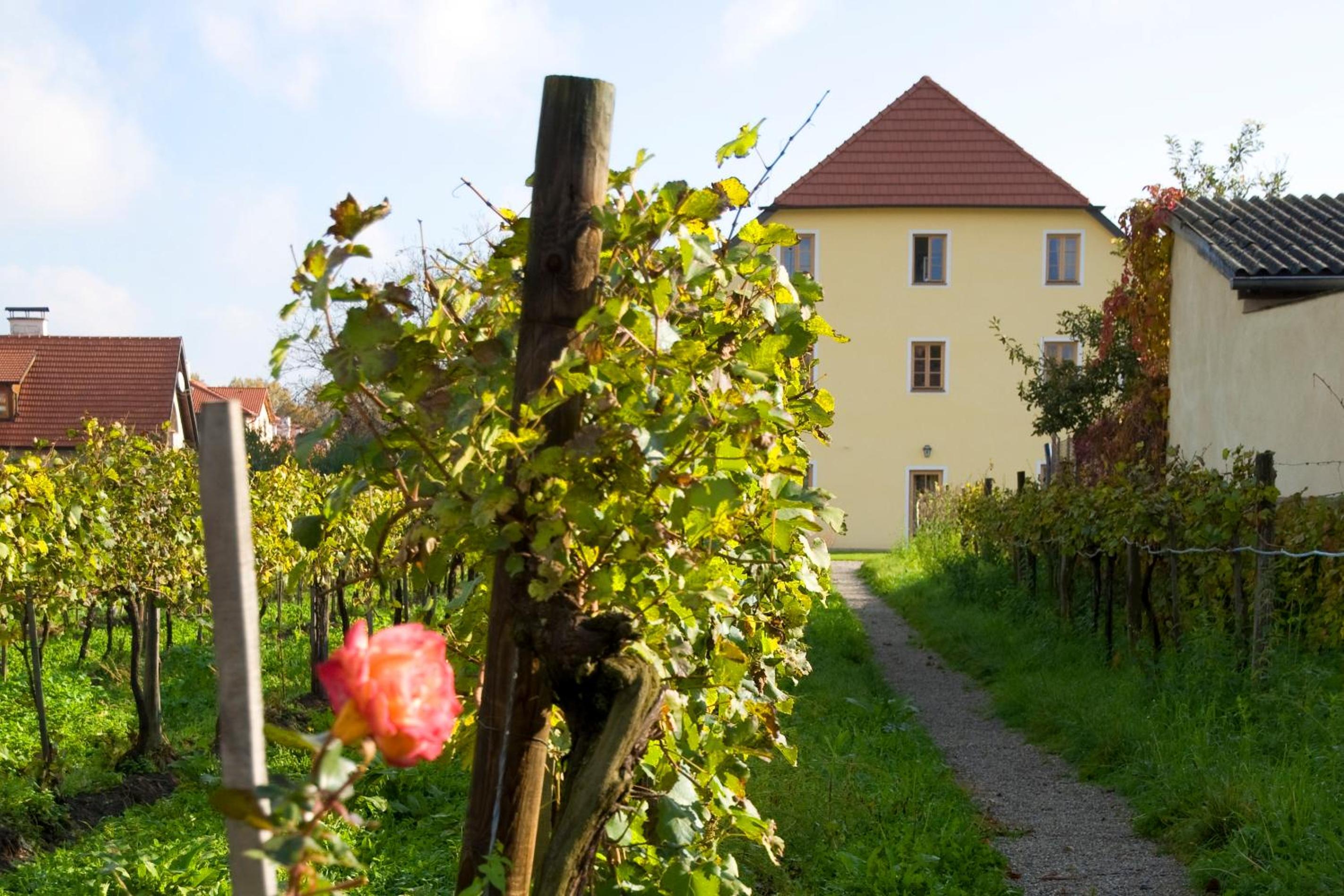 ad vineas Gästehaus Nikolaihof-Hotel Garni, photo 38