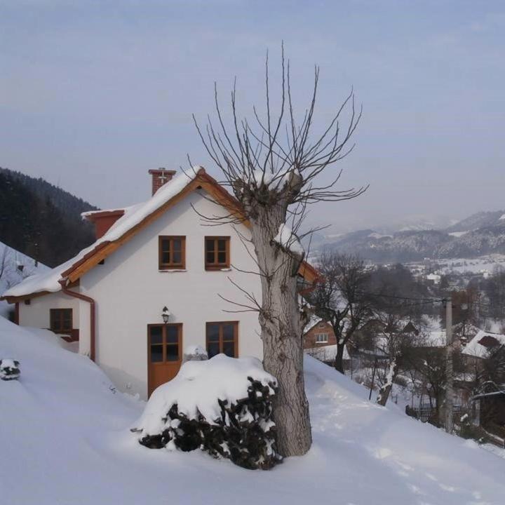 charming house with beautiful landscape