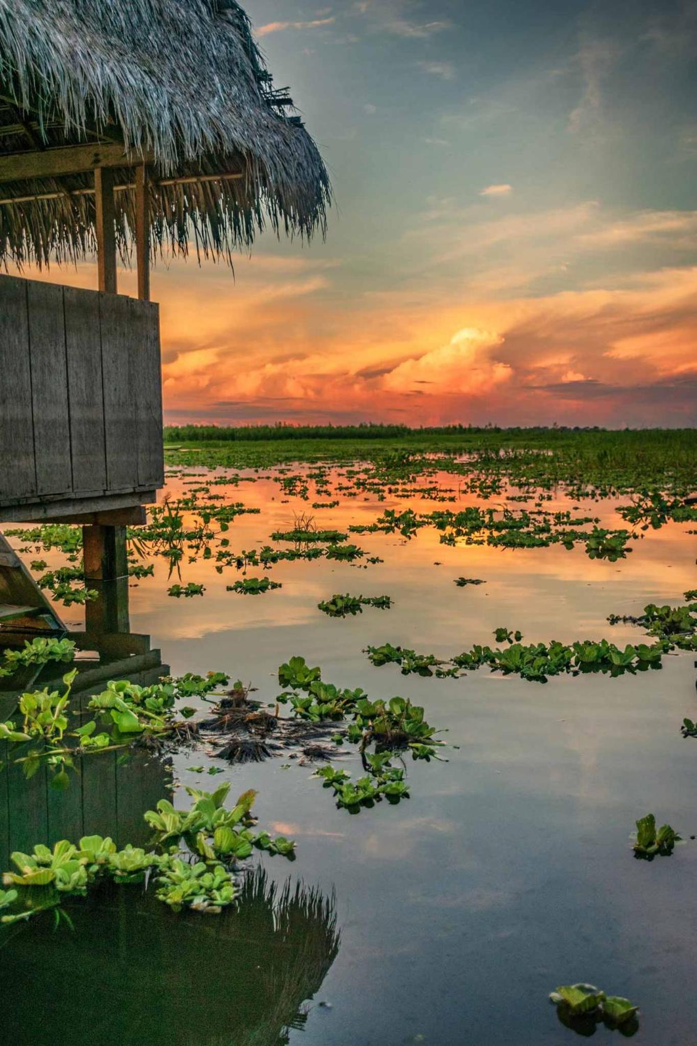 Libertad Jungle Lodge