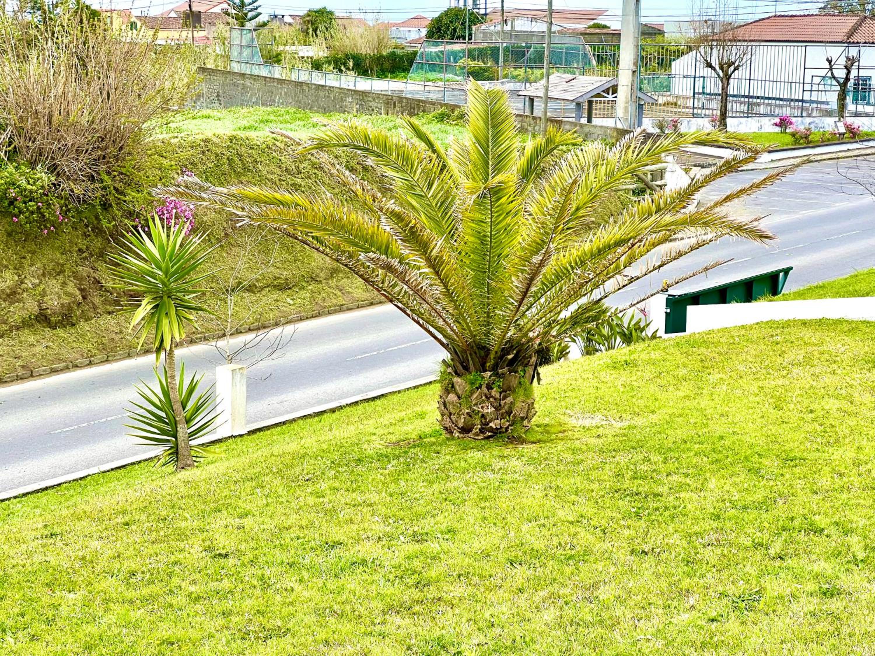 Casa Quinta das Férias view 4