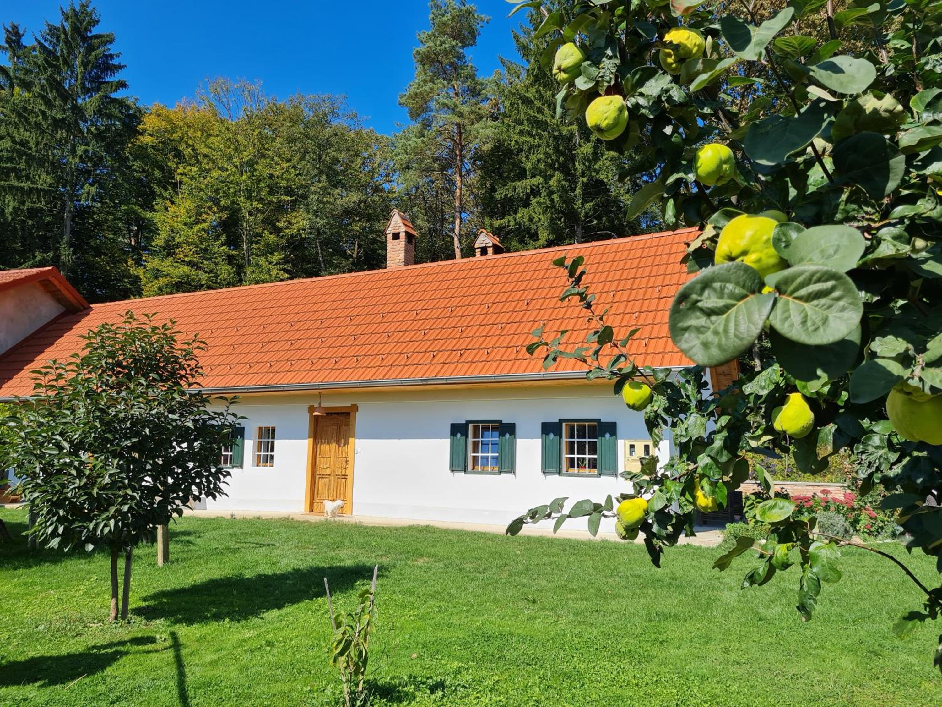 Turistična kmetija Hiša ob gozdu pri Ptuju view 5