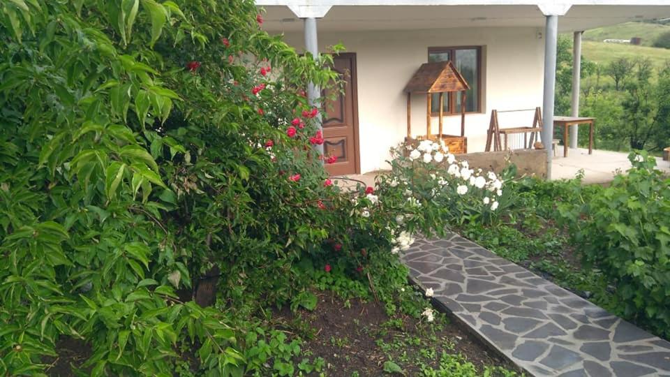 AMOJ B&B and Guest House