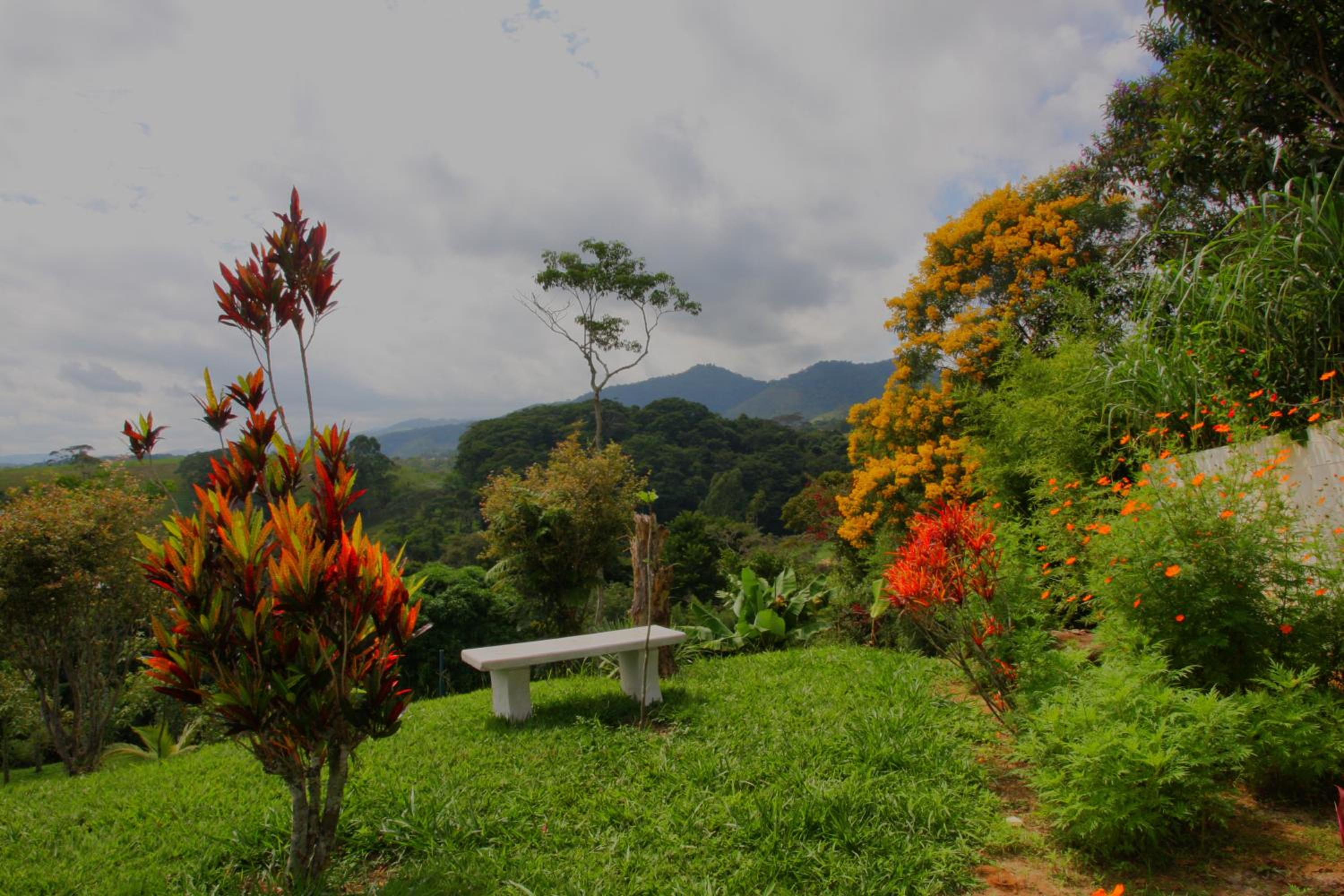 Pousada Coração Verde