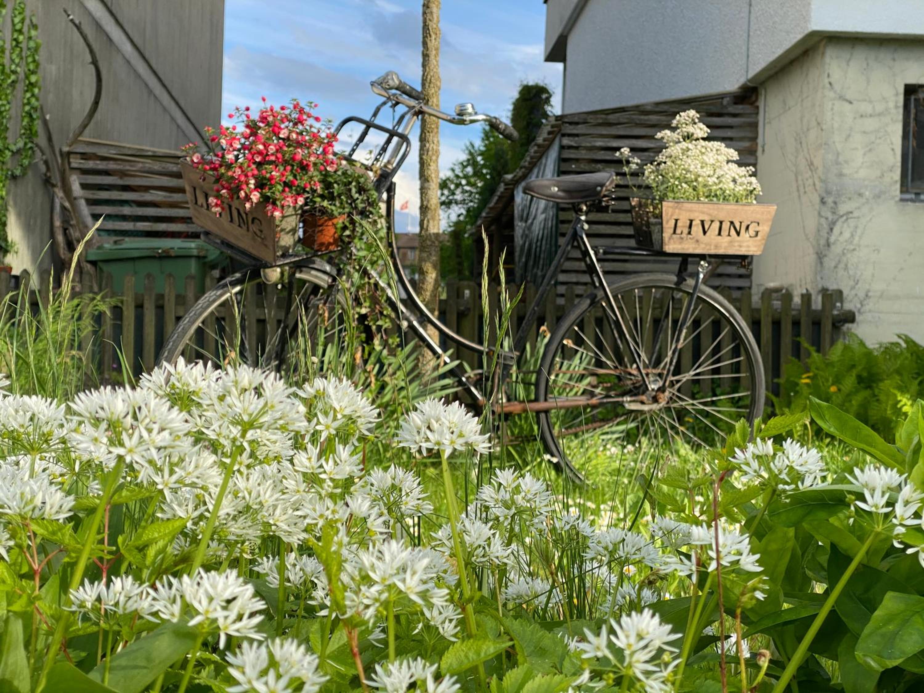 Lakelodge Romanshorn