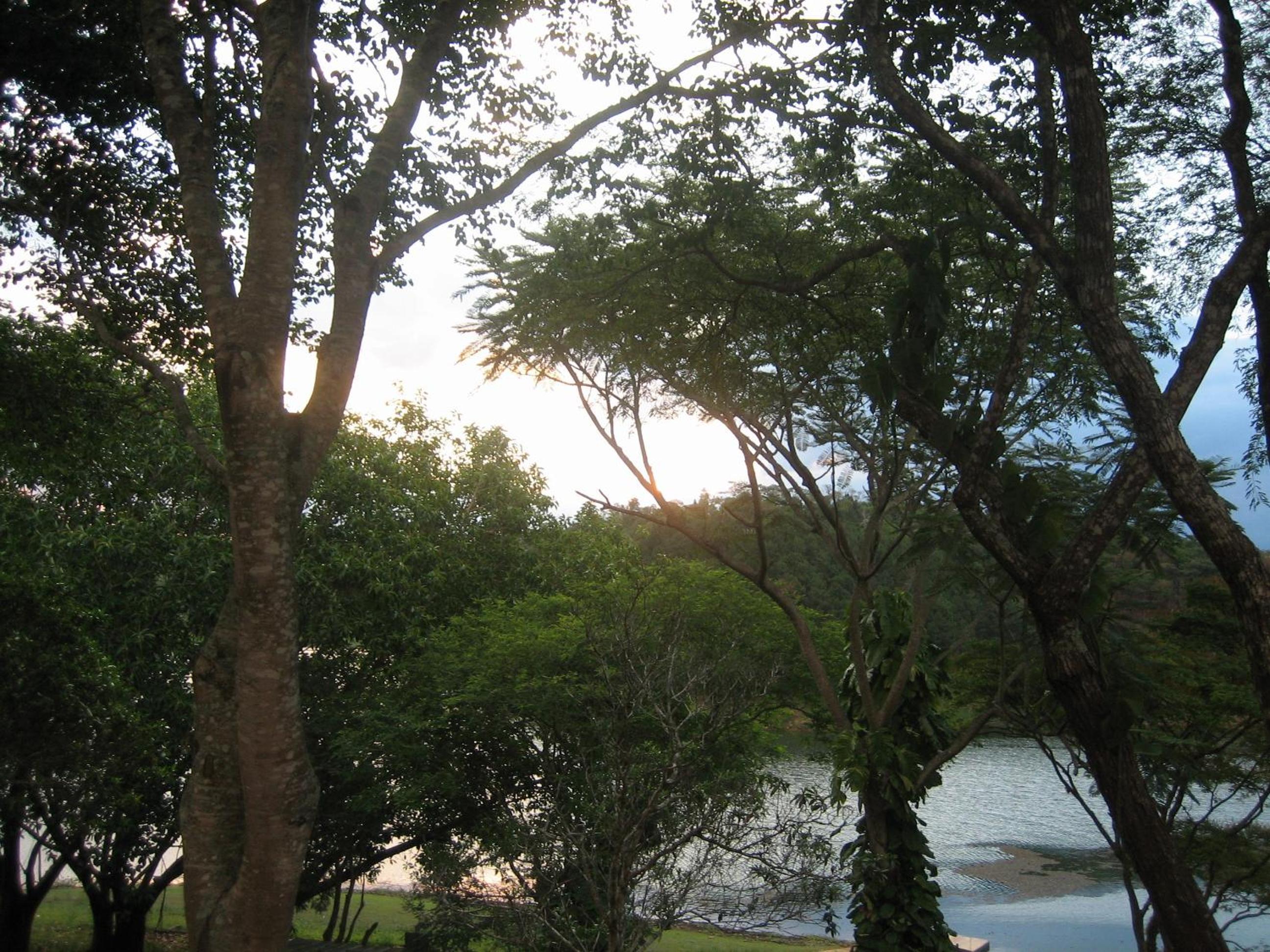 Photo 21