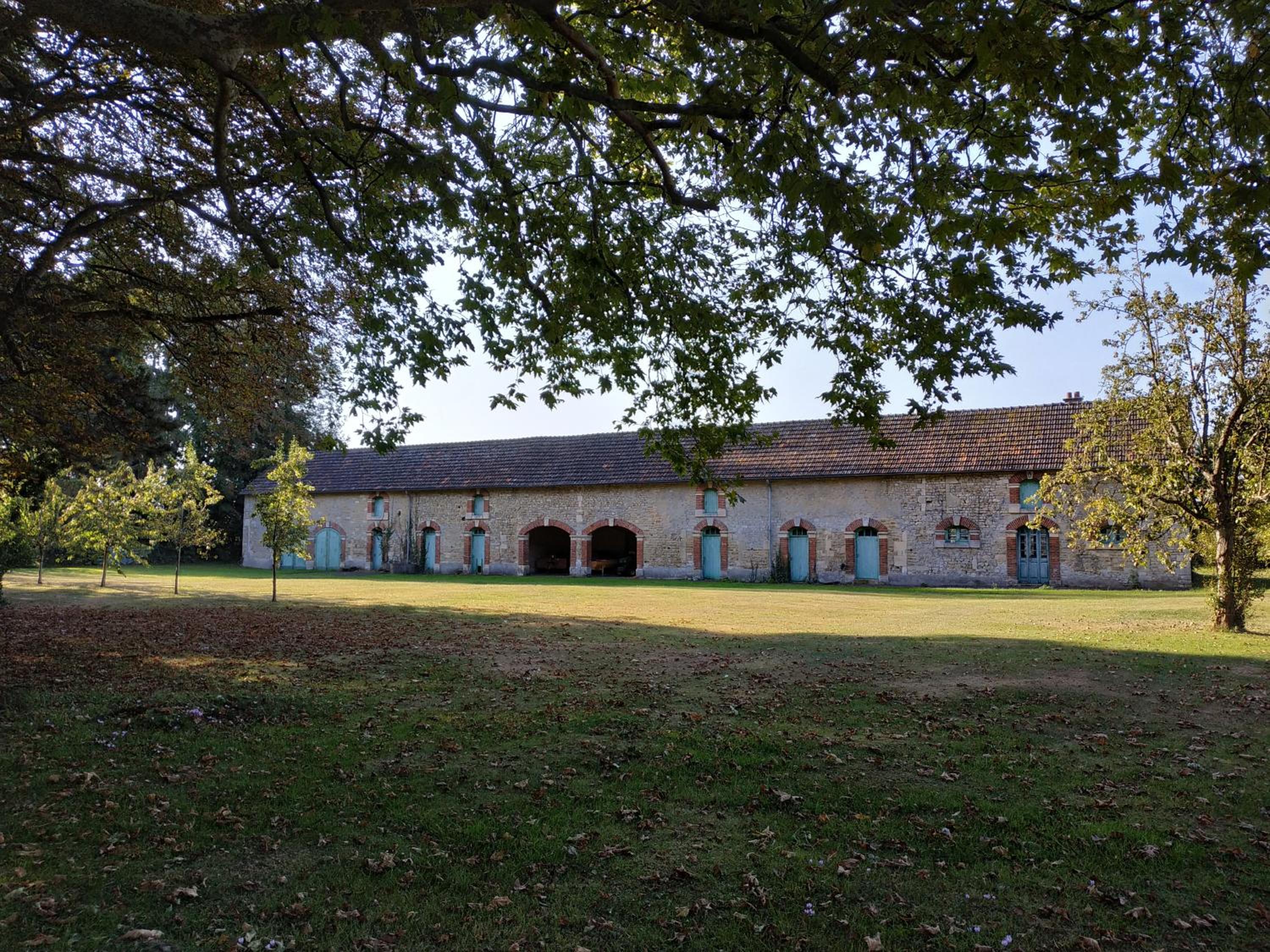 Photo 11