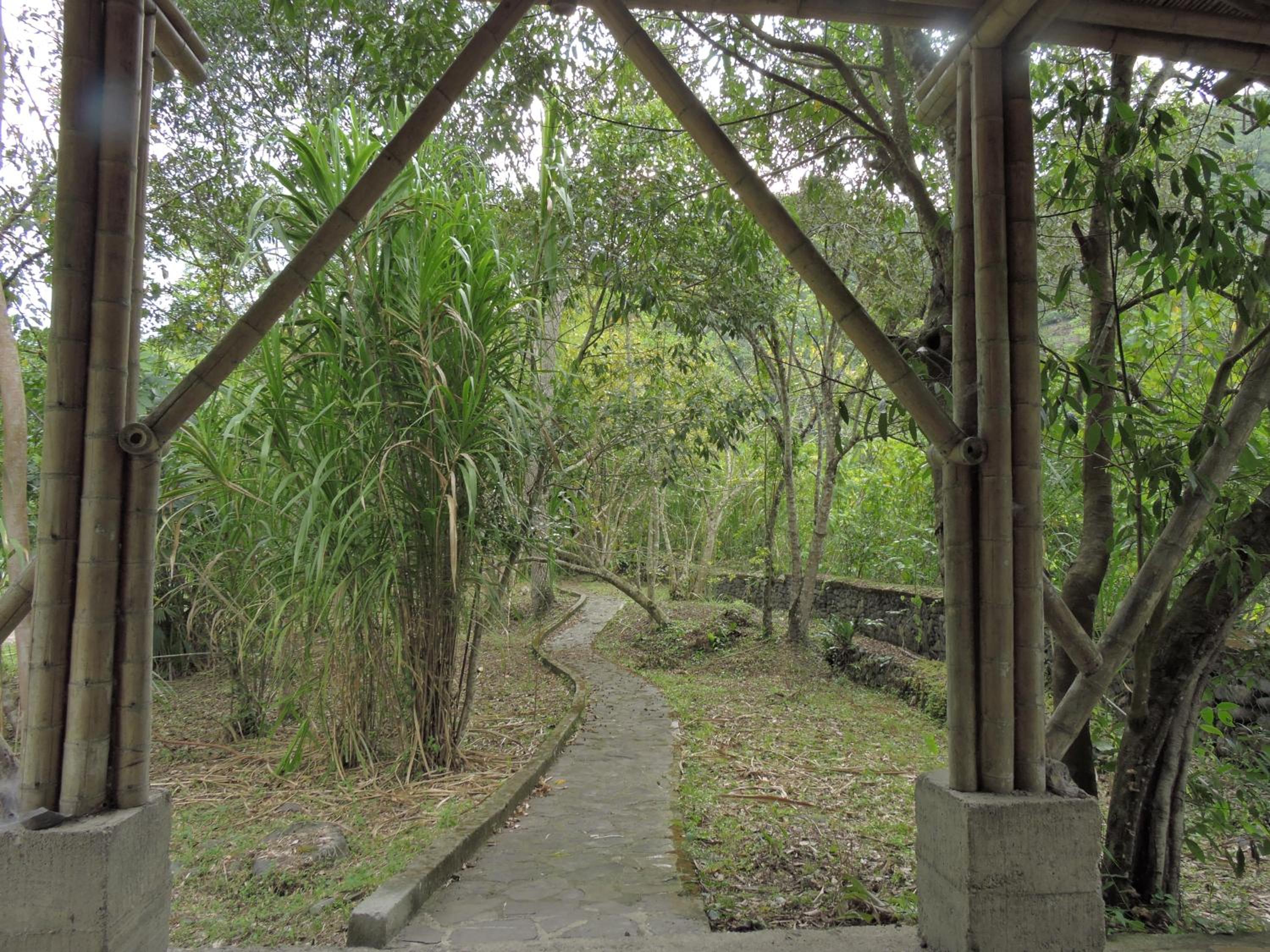 Eco-Cabanas Altozano Nimaima - Property Image 116