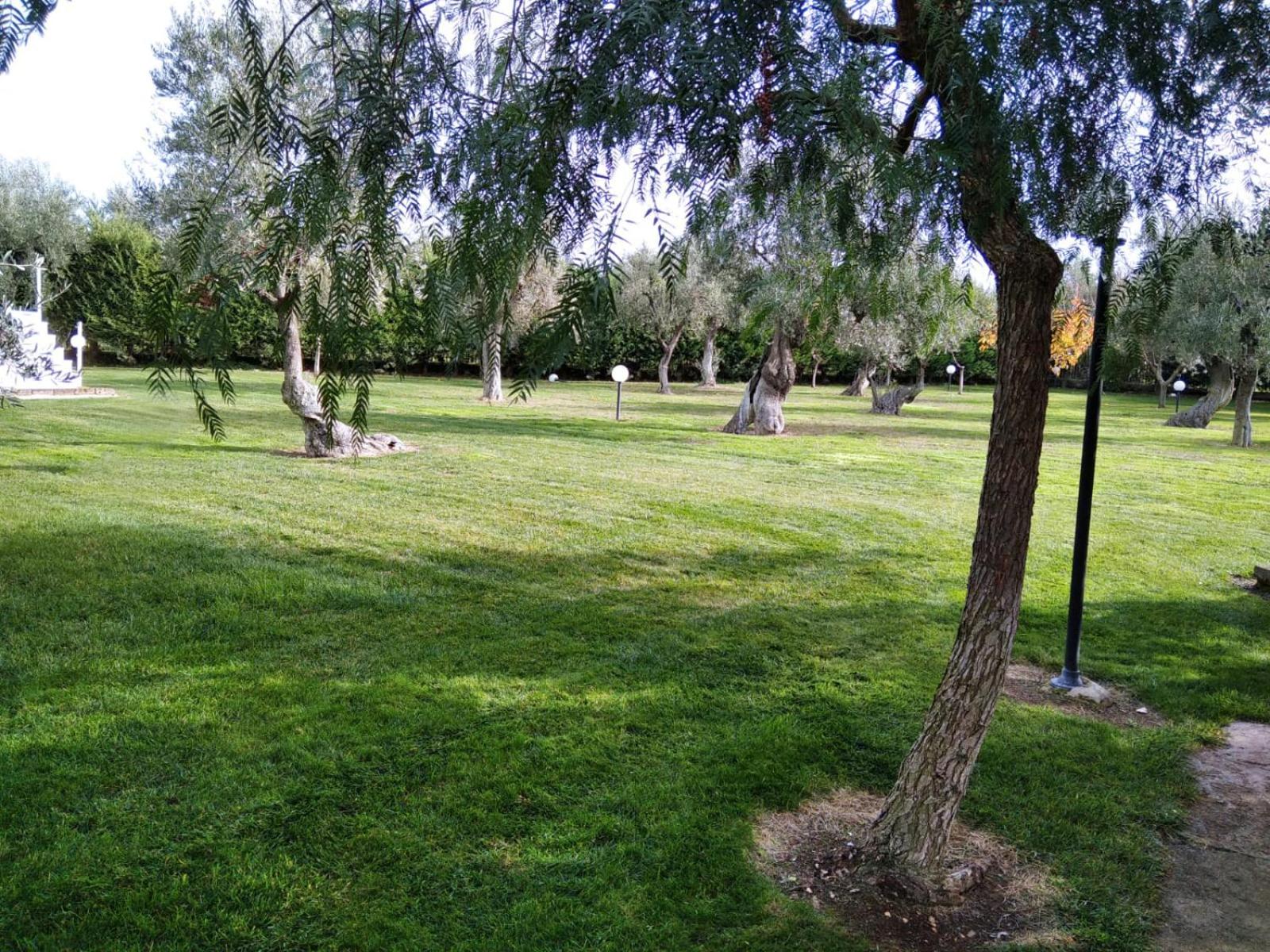 Villa Indipendente Superior 