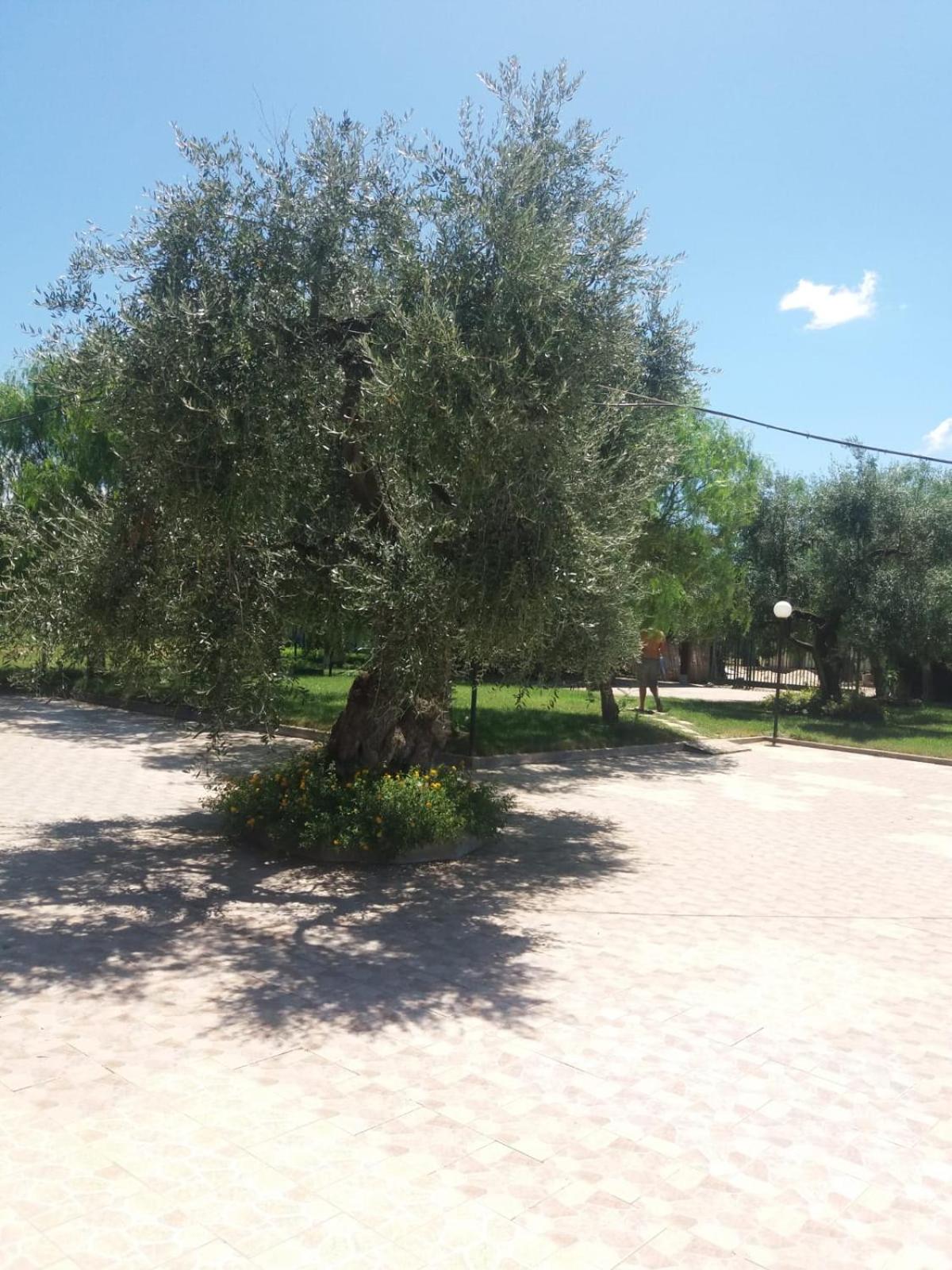 Villa Indipendente Superior 