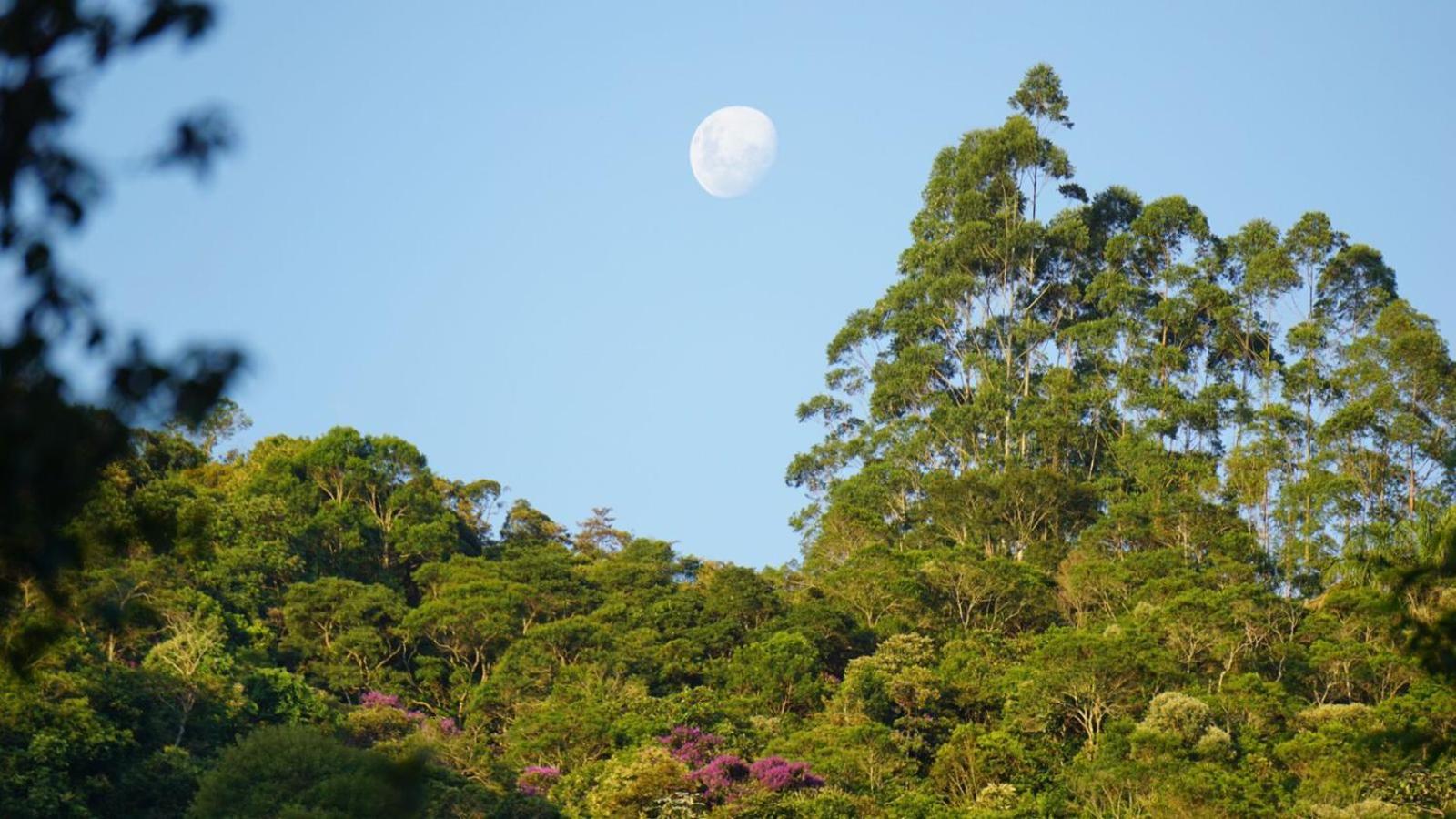 Casa Agaves à beira rio - Sítio Terra Surya