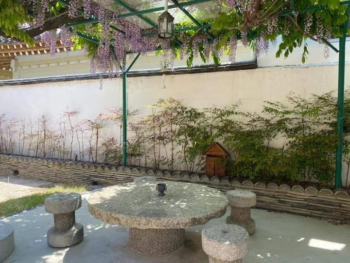 Adam Guesthouse view 2