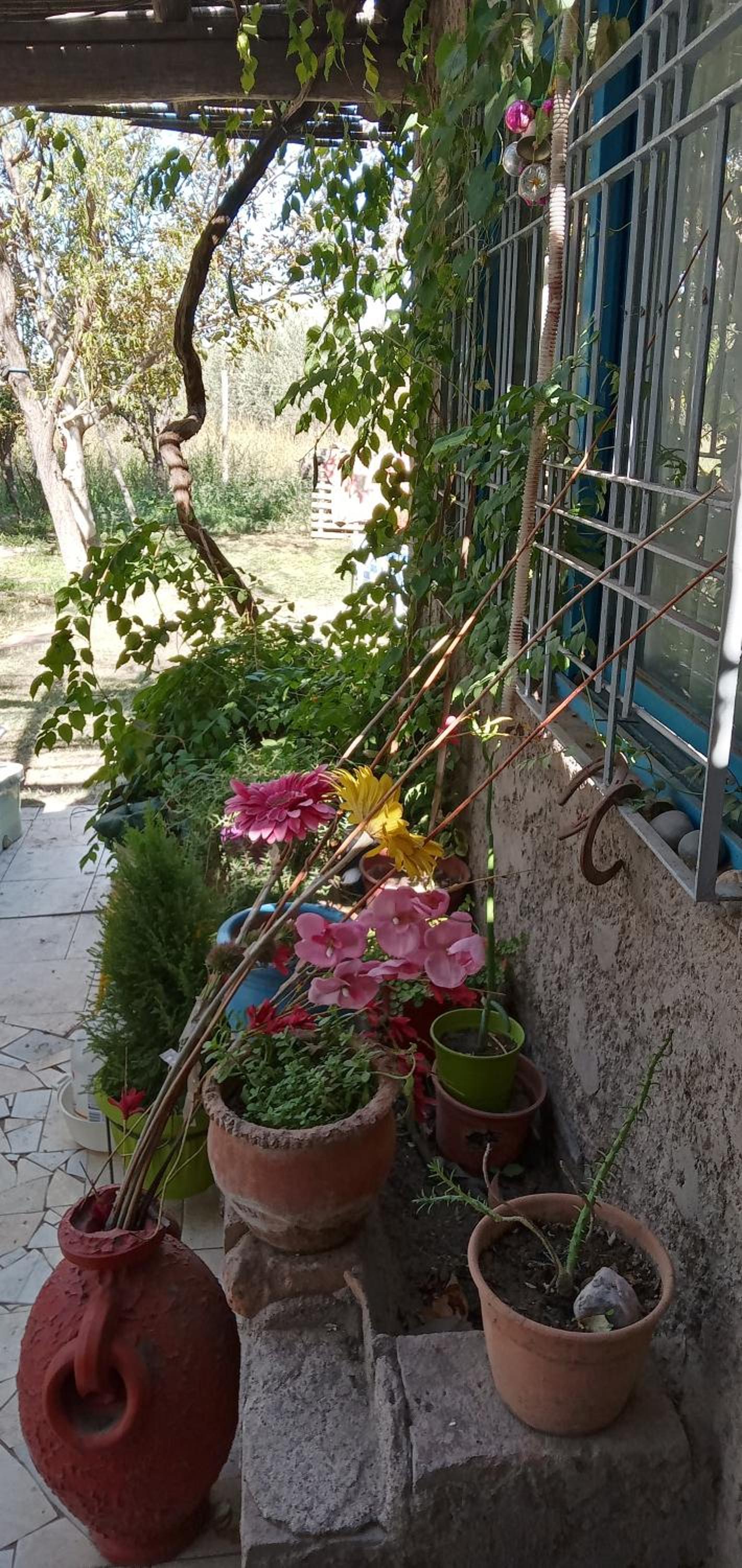 Hospedaje Finca La Siciliana