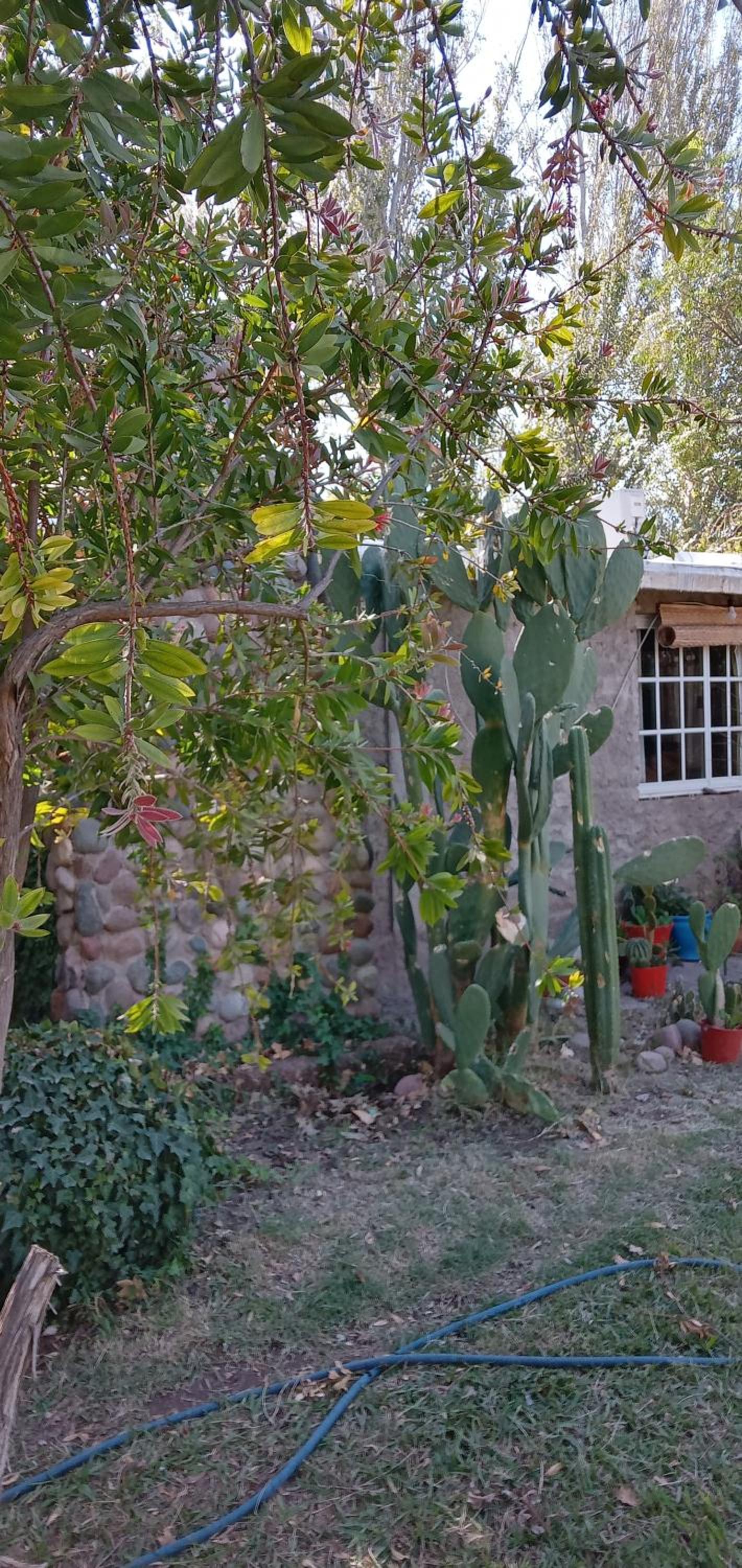 Hospedaje Finca La Siciliana