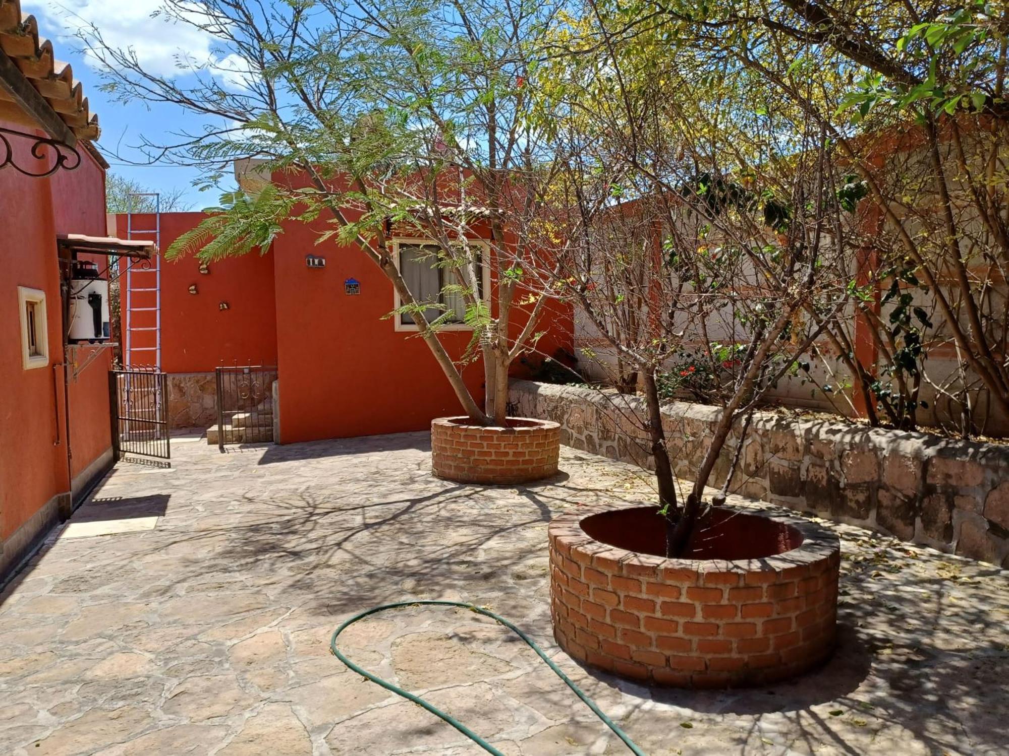 Photo 19