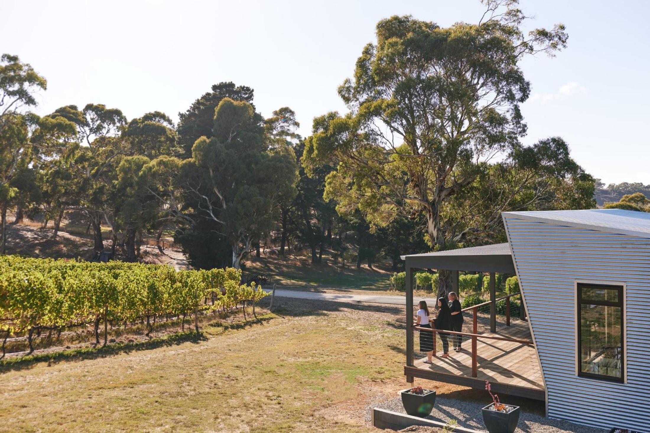 Longview Vineyard