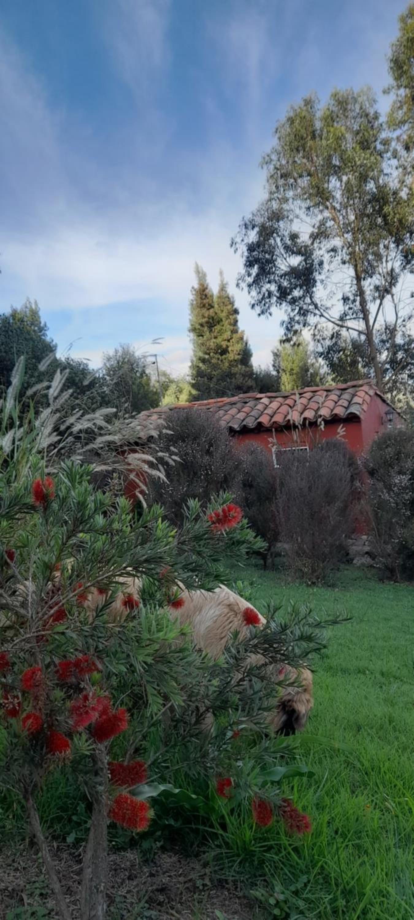 El Chalet de El Refugio de la Loma