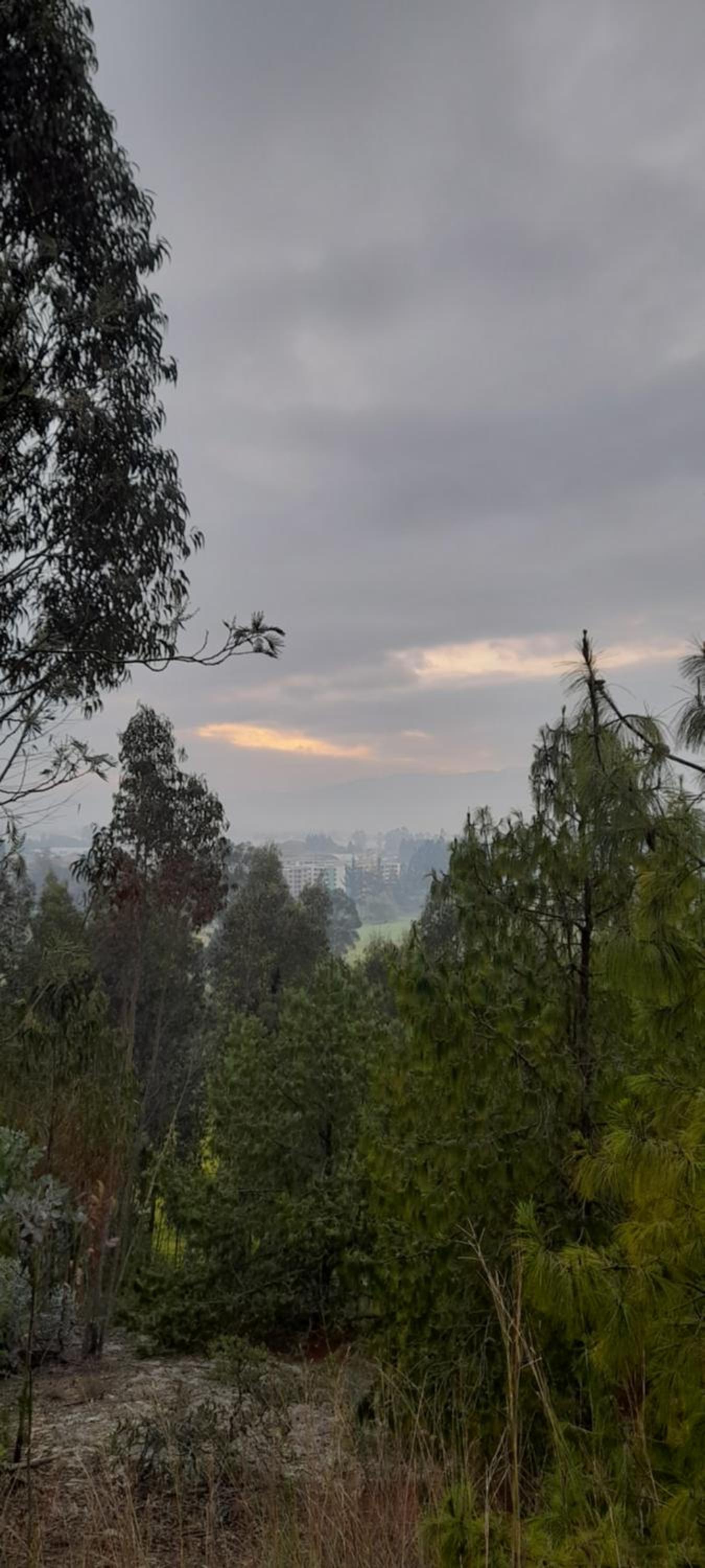 El Chalet de El Refugio de la Loma