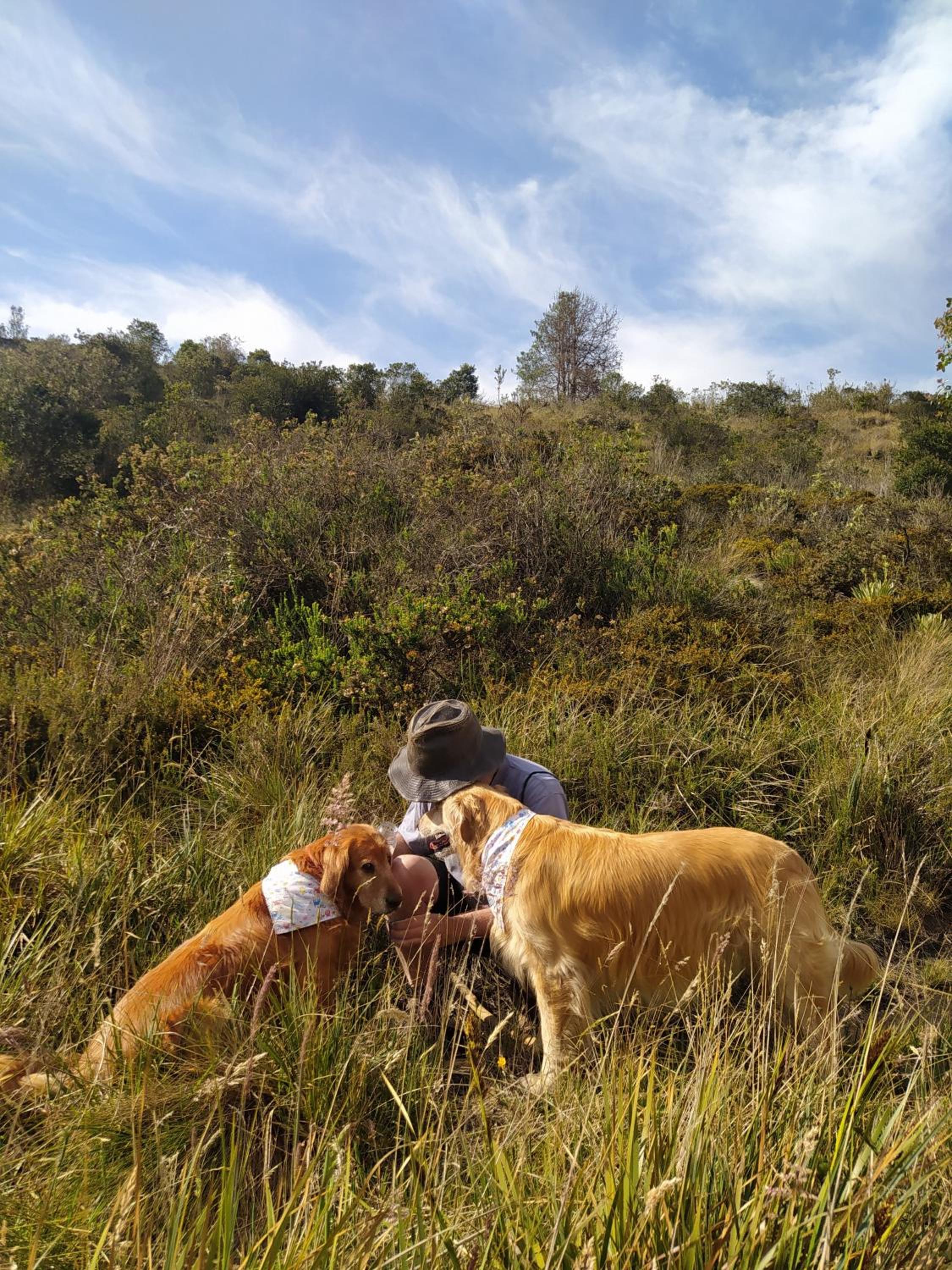El Chalet de El Refugio de la Loma