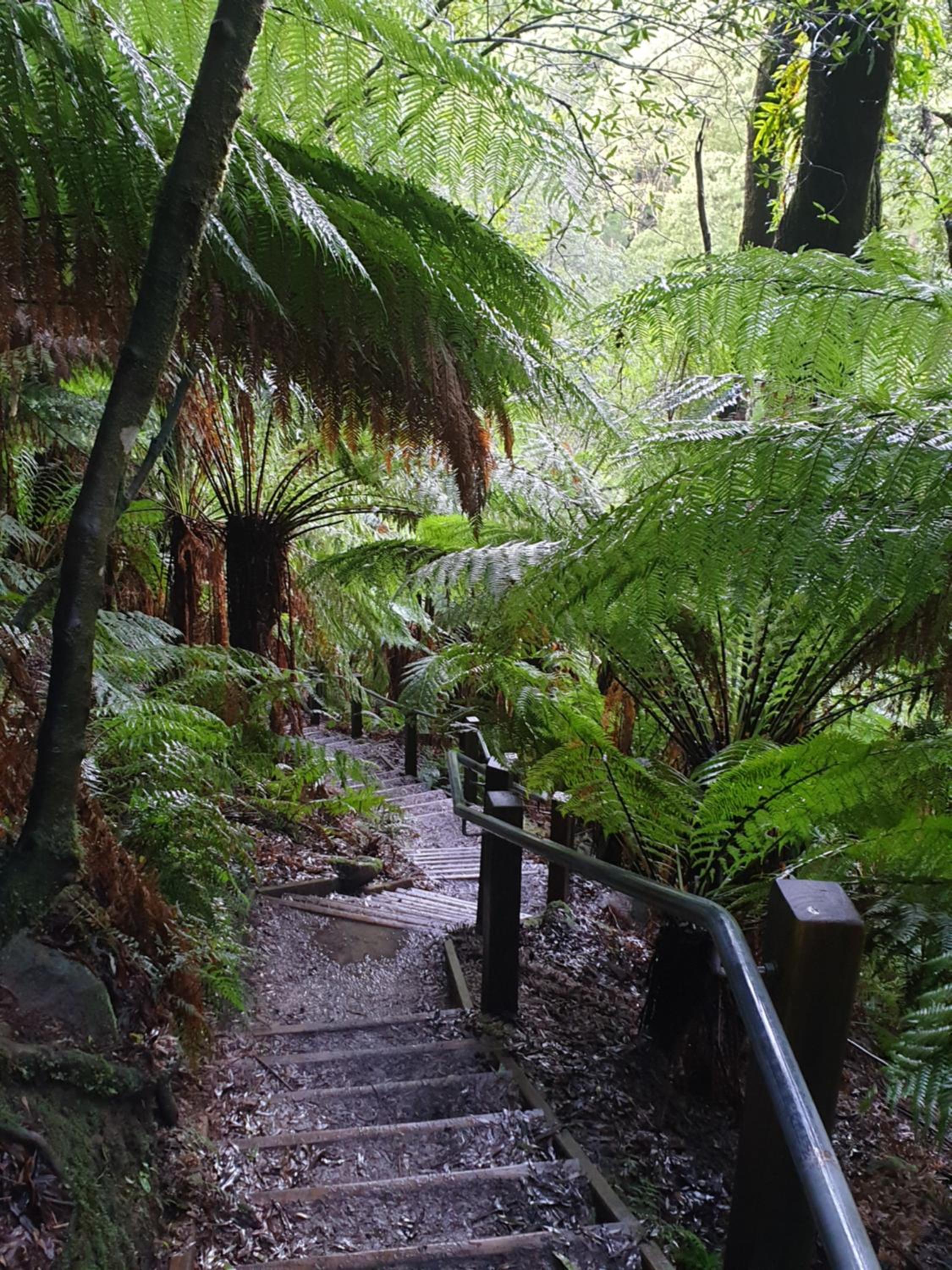 Cozy Otways Accommodation