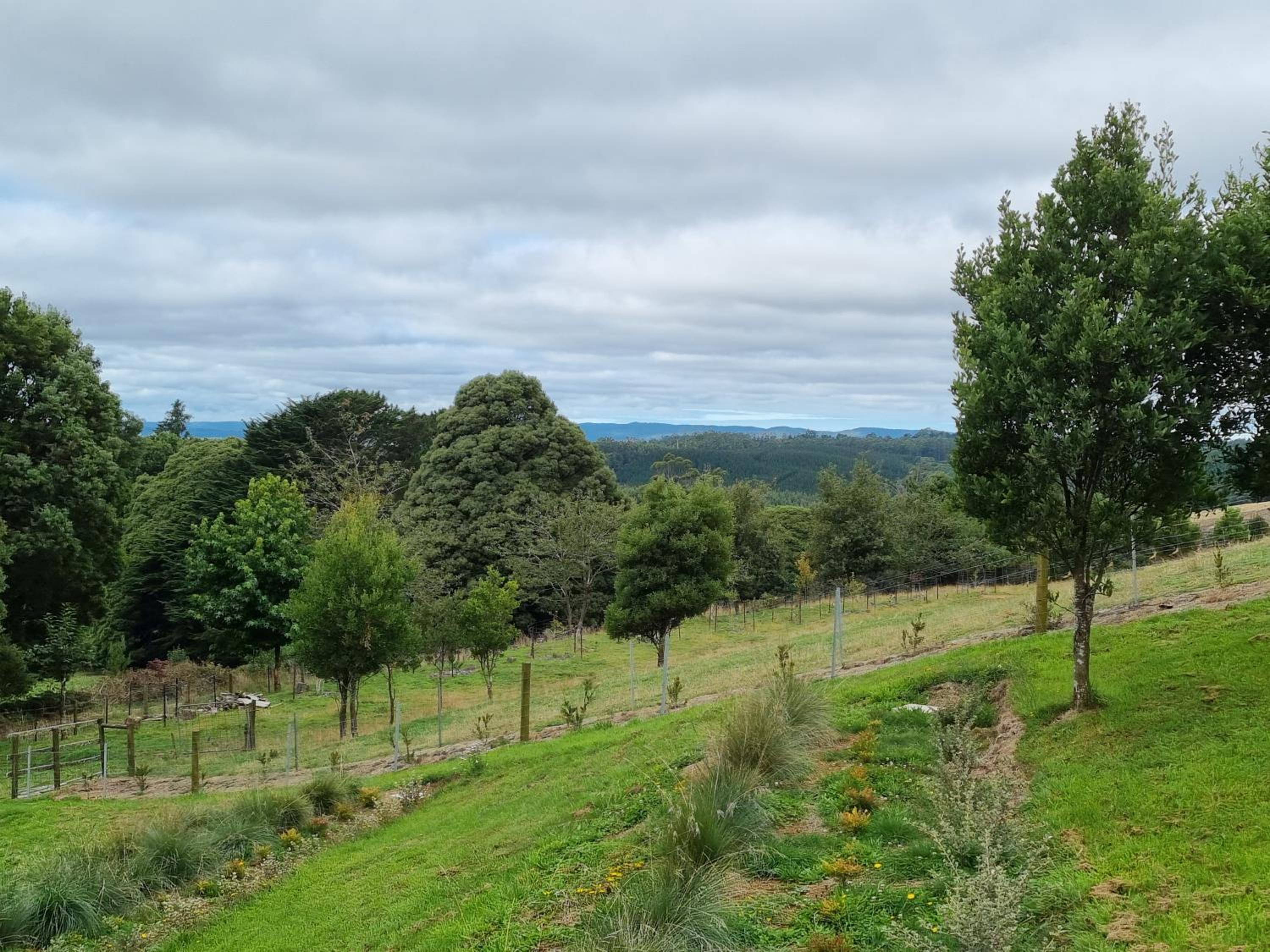 Cozy Otways Accommodation